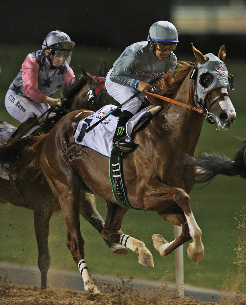 California Chrome of the U.S., ridden by Victor Espinoza, races ahead of El Tren of Ireland at the Meydan Racecourse in Dubai, United Arab Emirates, on Thursday.