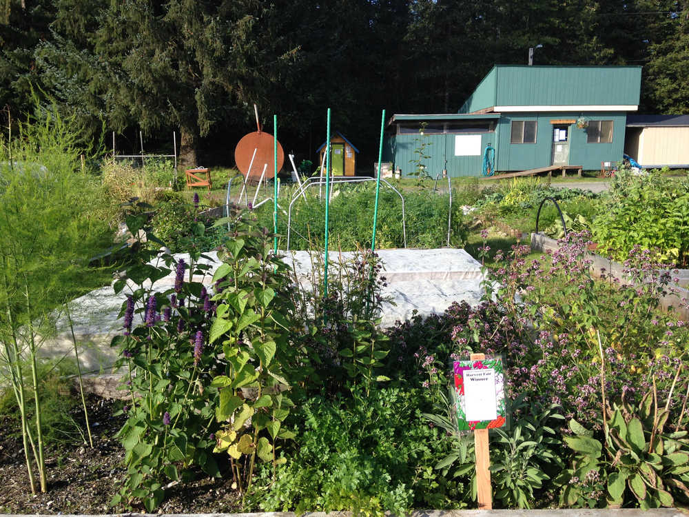 You can always find somewhere to garden - even when you don't live on land. (Photo by Corinne Conlon)