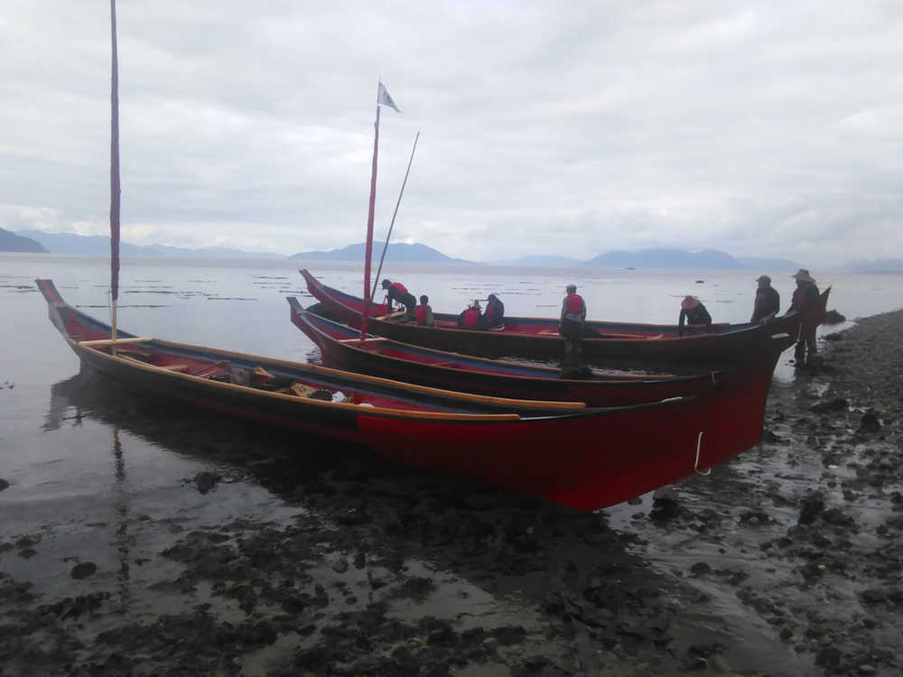 Two forty-foot spruce dugout canoes, one Eagle and one Raven, along with a smaller dugout canoe named the Jibba, rest on the shore of Pleasant Island, halfway between Hoonah and Glacier Bay.