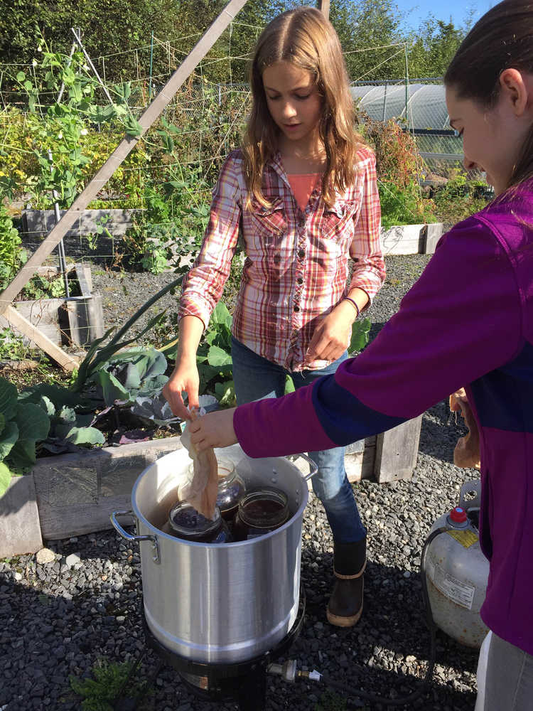 Kids dye cloth using lichens and mushrooms during Karen Dillman's class at the Rainforest Festival in Petersburg.