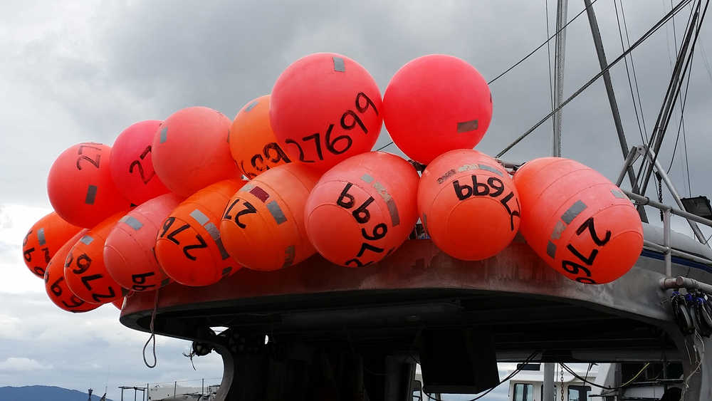 A collection of floats on a boat.