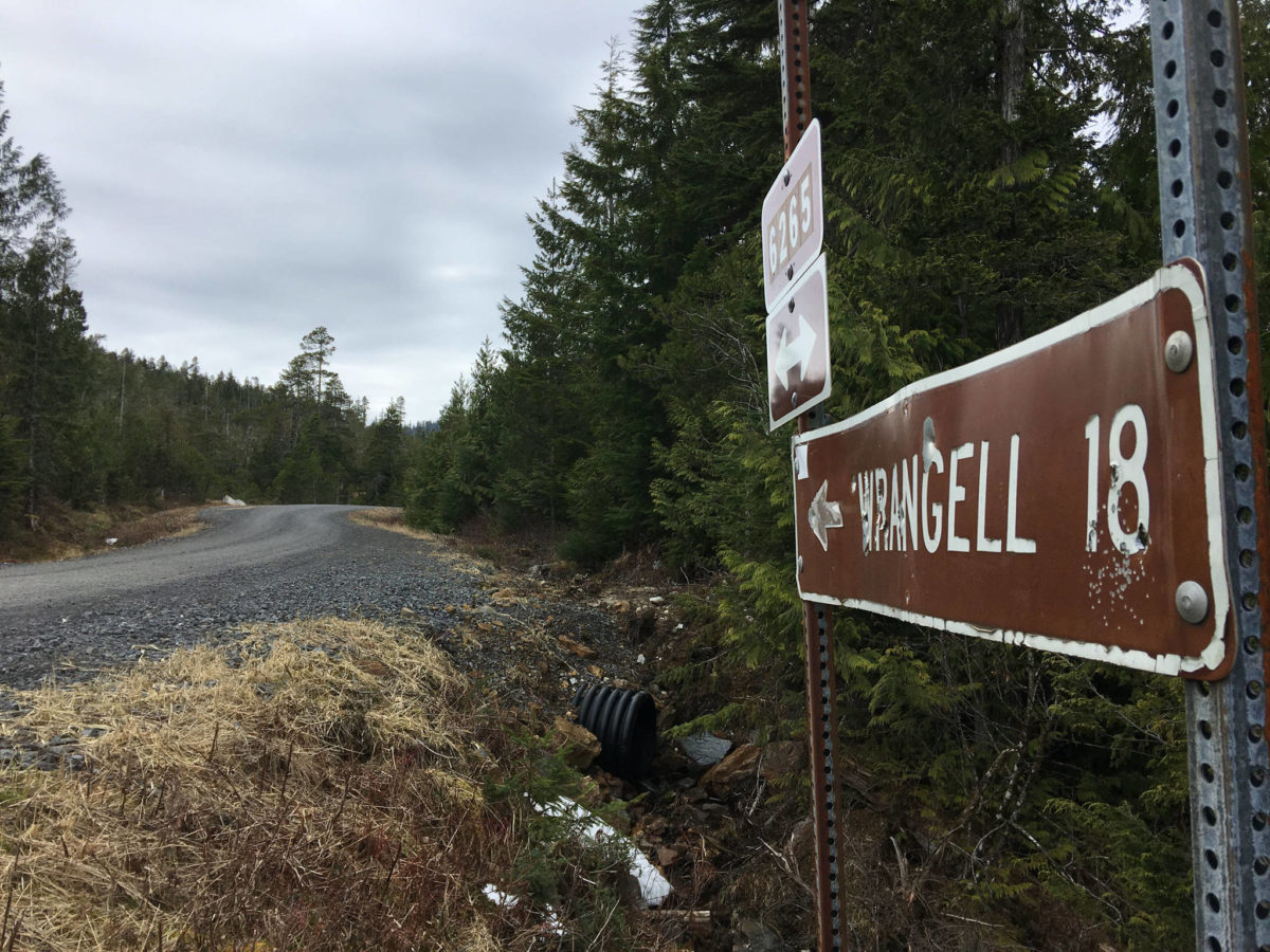 Planet Alaska: Skunk cabbage — A harbinger of spring | Juneau Empire