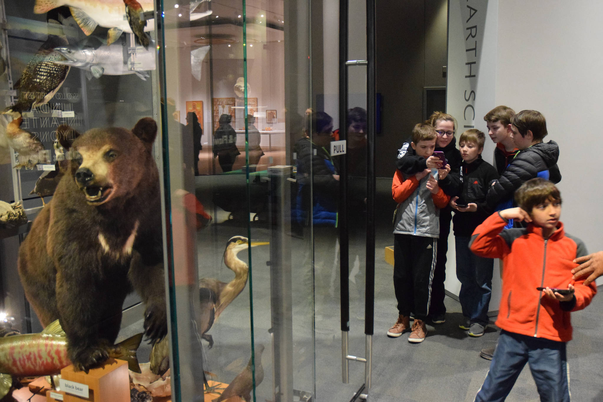 A group of middle and high school students looks at the U.S. Forest Service’s new “Agenst of Discovery” app at the Father Andrew P. Kashevaroff State Library, Archives and Museum on Friday. From left: Stig Cunningham, Amber Cunningham, Kajson Cunningham, Keelan Cunningham and Aiden Pietan. (Kevin Gullufsen | Juneau Empire)