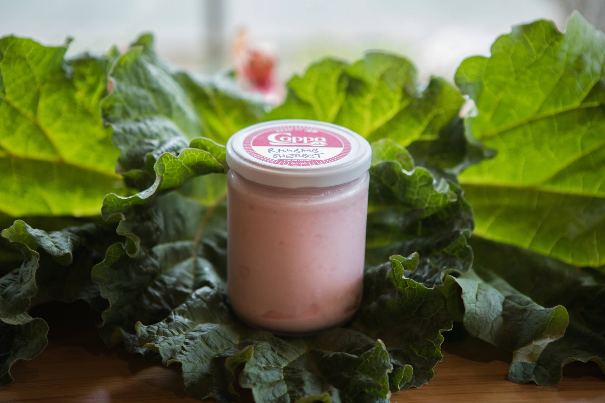 Rhubarb sherbet (Photo by Kaley McGoey)