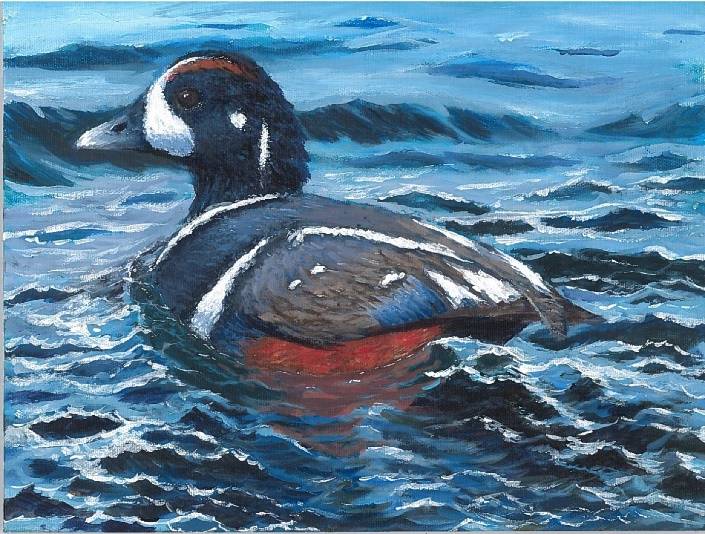 Thunder Mountain students win duck stamp awards Juneau Empire