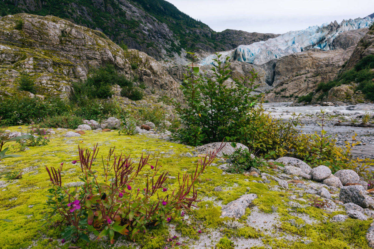 The path to Herbert Glacier, October 2018. (Gabe Donohoe | Juneau Empire File)