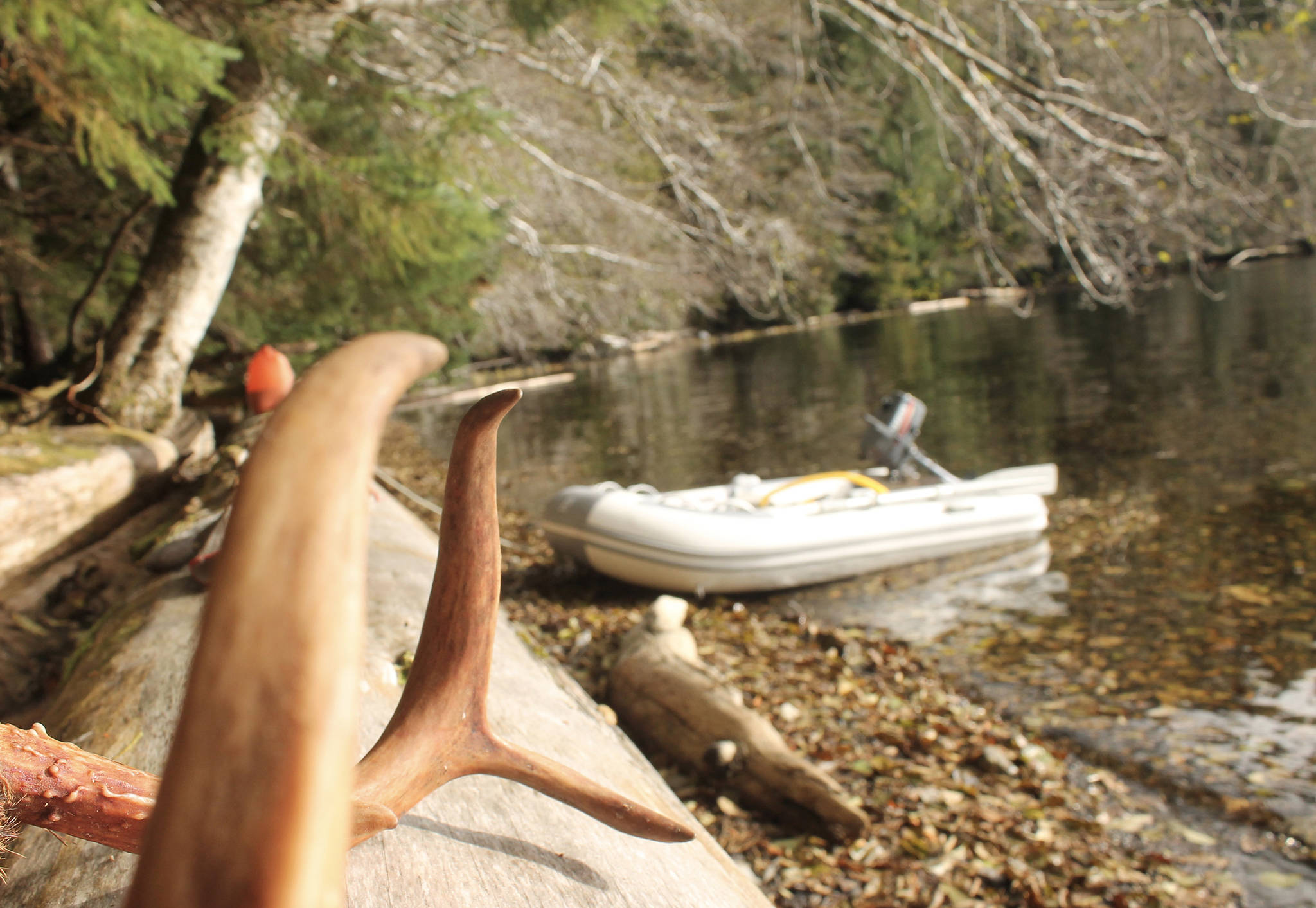 The Sunday views were great for the author has he waited for his two buddies on a beach after a successful morning hunt. (Jeff Lund | For the Juneau Empire)