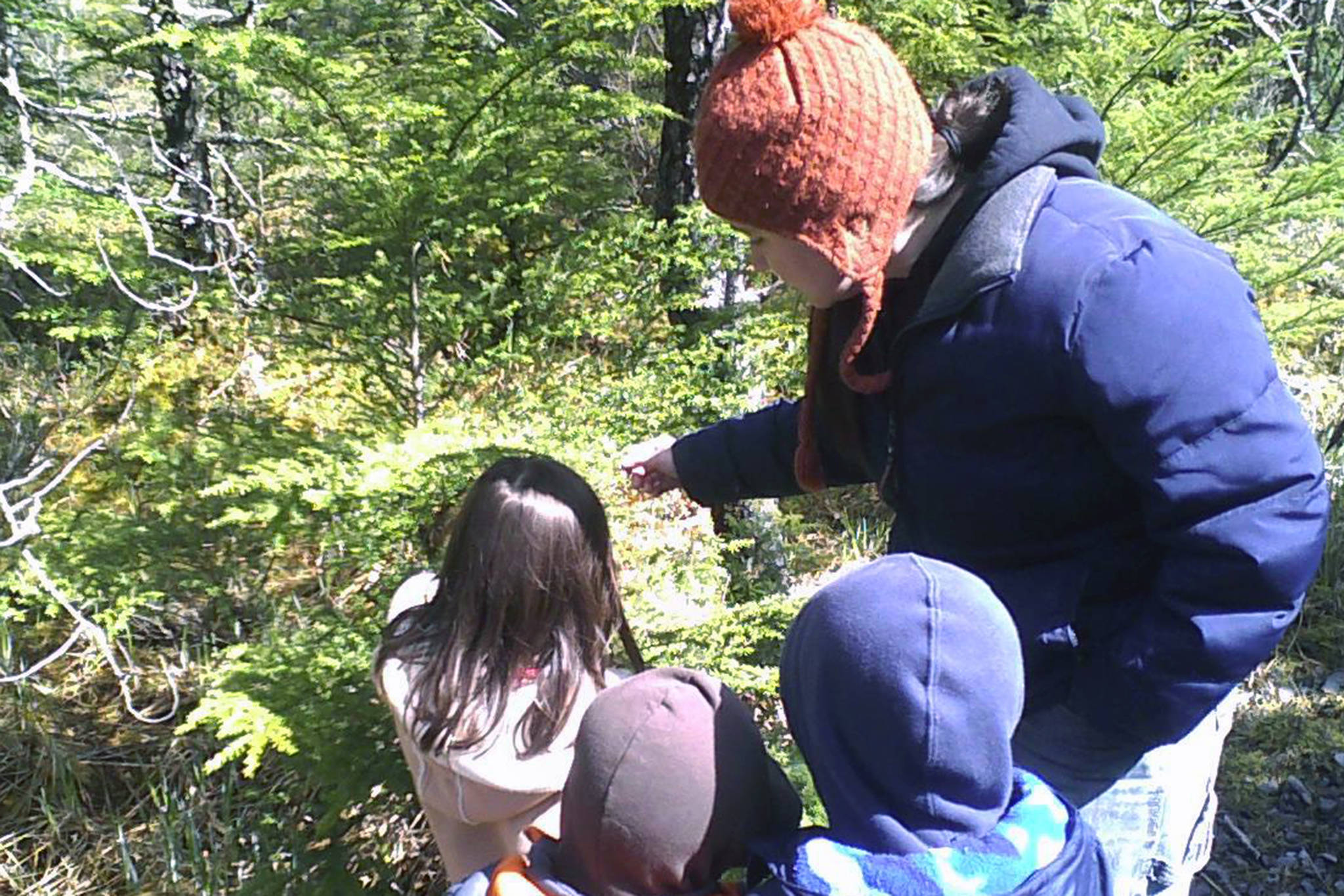 Vivian Mork Yéilk’ passes down plant knowledge to the next generation in Wrangell. (Breanne Pearson | For the Capital City Weekly)