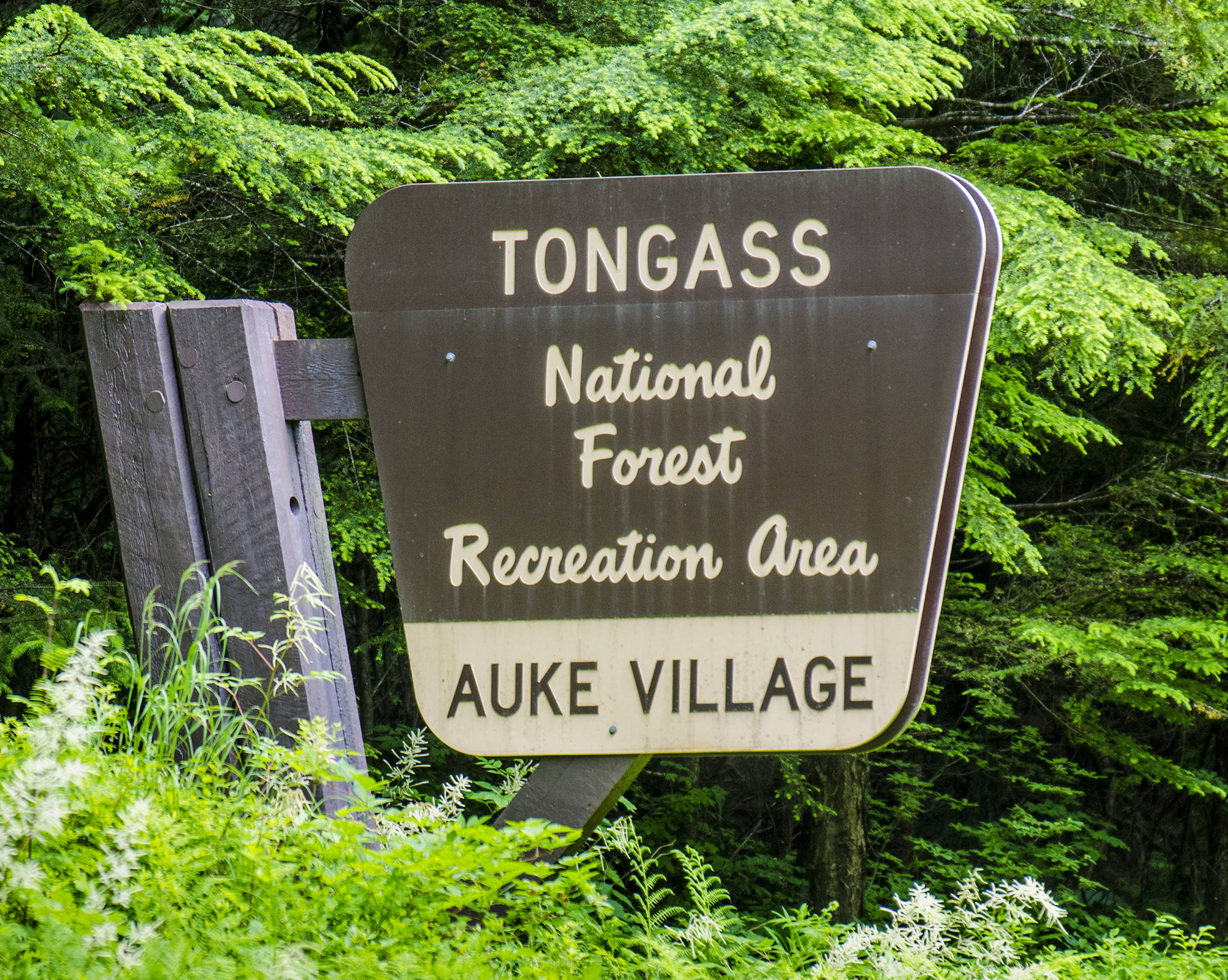 The Tongass National Forest sign stands near the Auke Village Recreation Area. (Juneau Empire File)