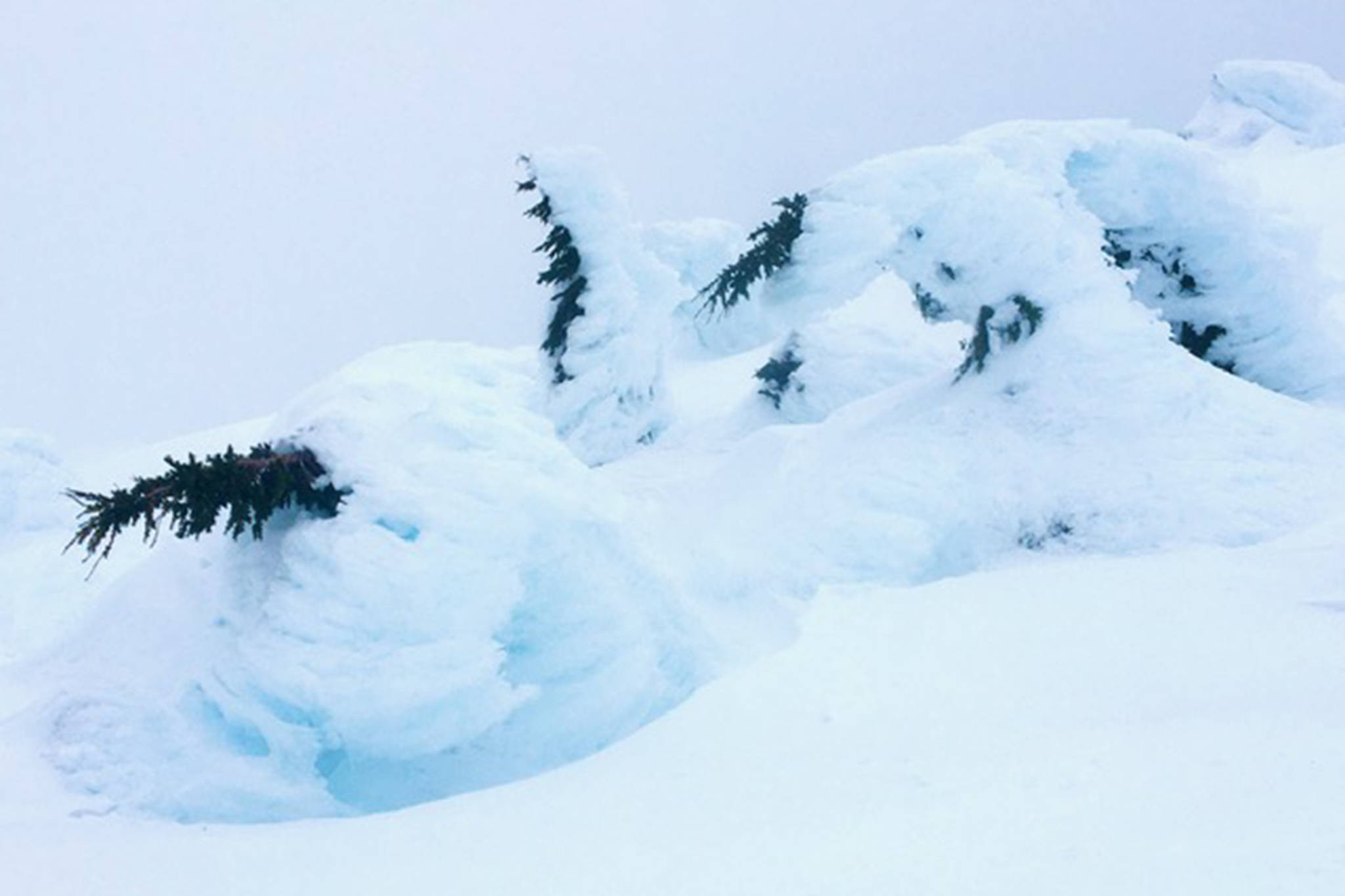 The domino effect is on display at Eaglecrest Ski Area on April 1. (Courtesy Photo | Denise Carroll).