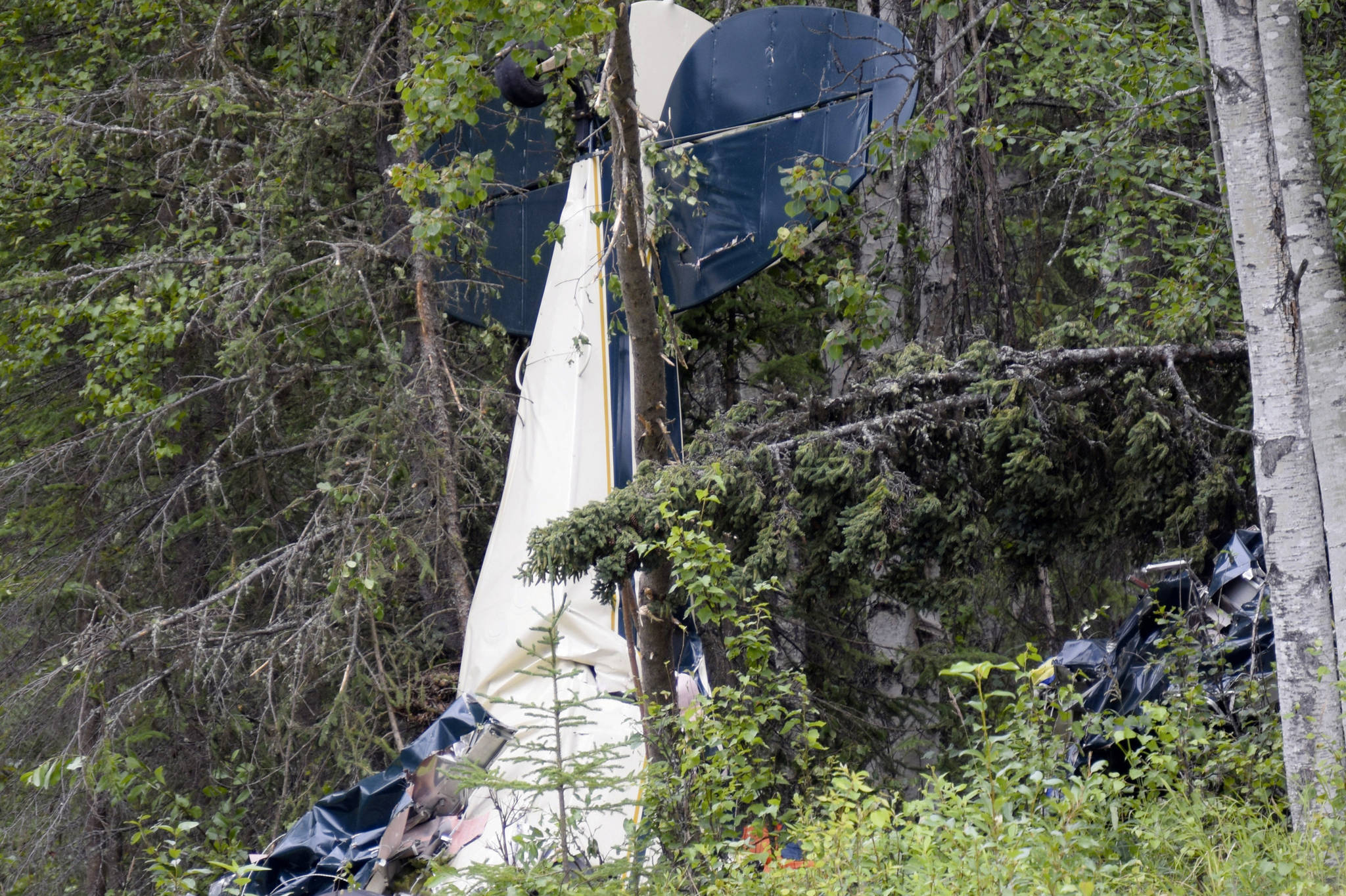 A plane rests in brush and trees after a midair collision outside of Soldotna, Alaska. State Rep. Gary Knopp, an Alaska state lawmaker who was involved in a July midair collision that killed seven people, was piloting his plane even though his medical flight certification was denied eight years ago because of vision problems, the National Transportation Safety Board reported Tuesday, Aug. 25, 2020. (Jeff Helminiak / Peninsula Clarion)