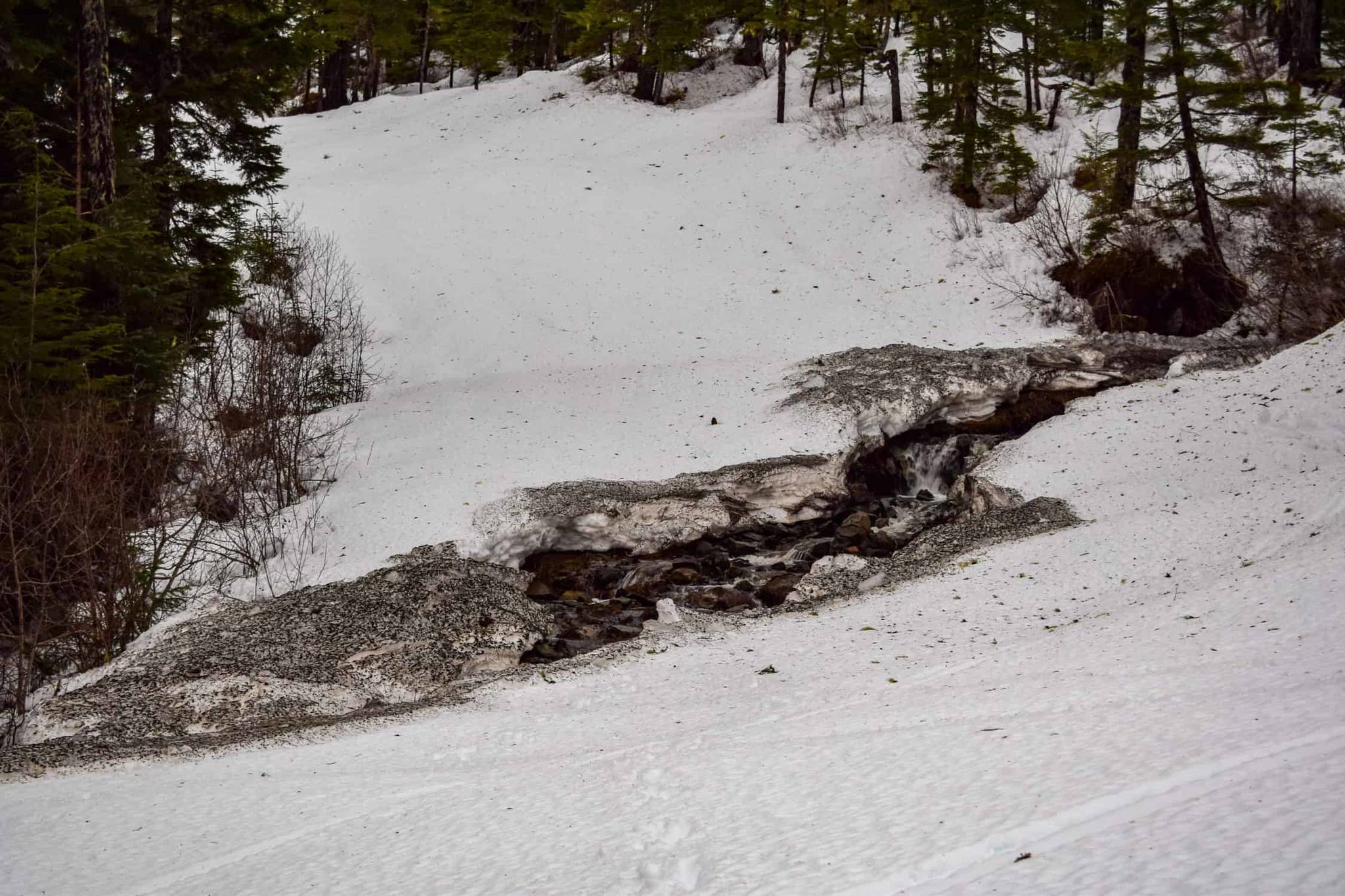 “Historically bad” conditions have postponed the season opening of Eaglecrest Ski Area, said a spokesperson for the facility. (Courtesy photo / Charlie Herrington)