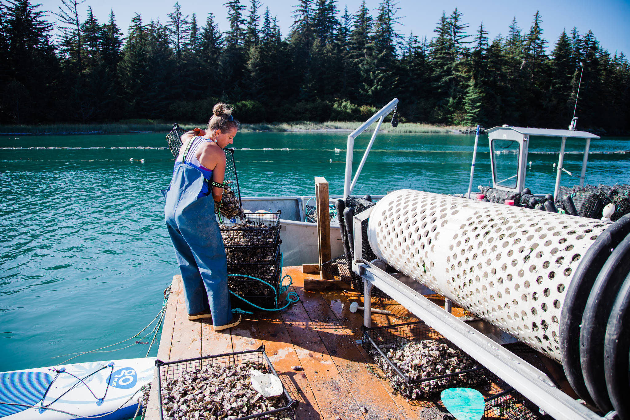 Courtesy Photo / Meta Mesdag
Meta Mesdag, one of the owners of the Salty Lady Seafood Company located at Bridget Point, empties oysters into a sorting machine in this 2019 photo.