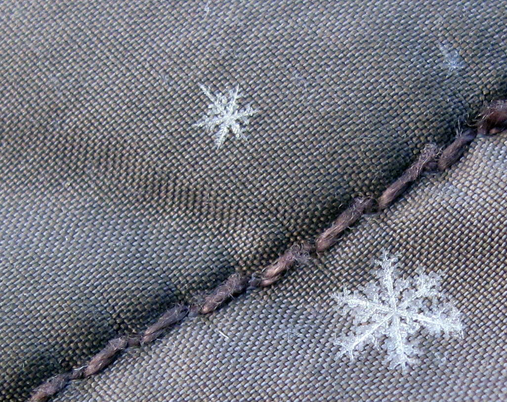 The prettiest form of a fallen snow crystal, a stellar dendrite. These survived their fall through a cloud without colliding with other snowflakes. (Courtesy Photo / Ned Rozell)