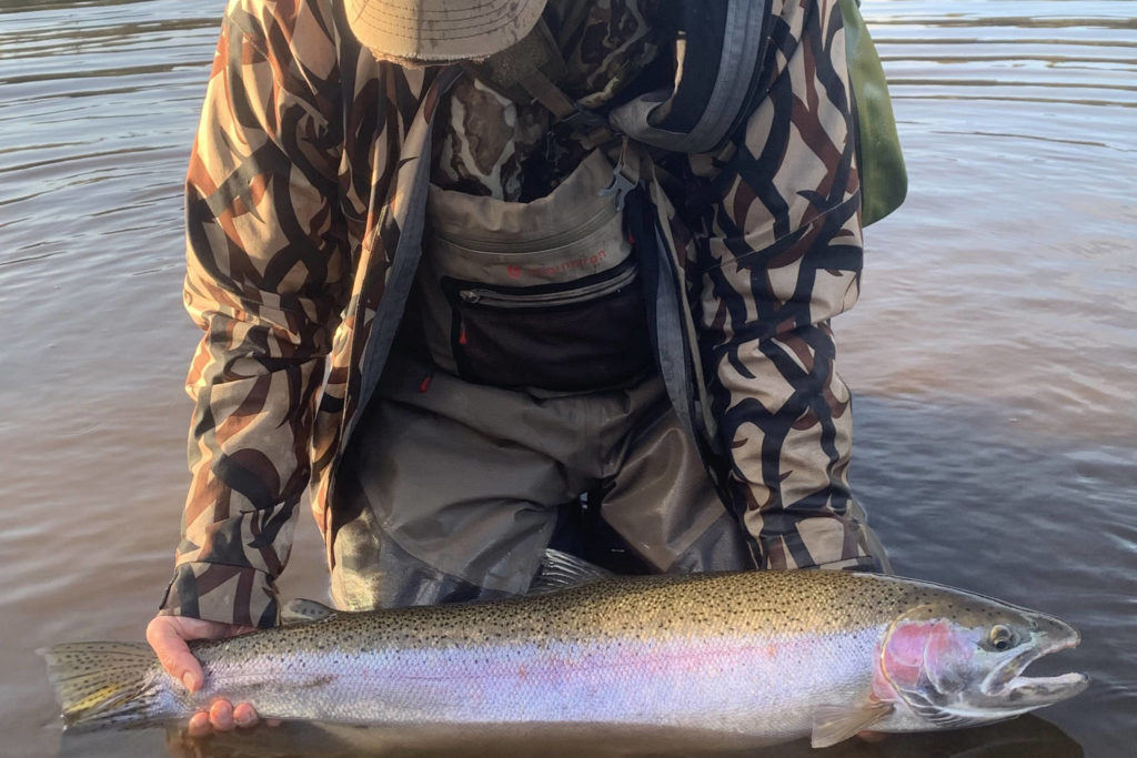 5 Things Steelheaders Worry About, and Shouldn't