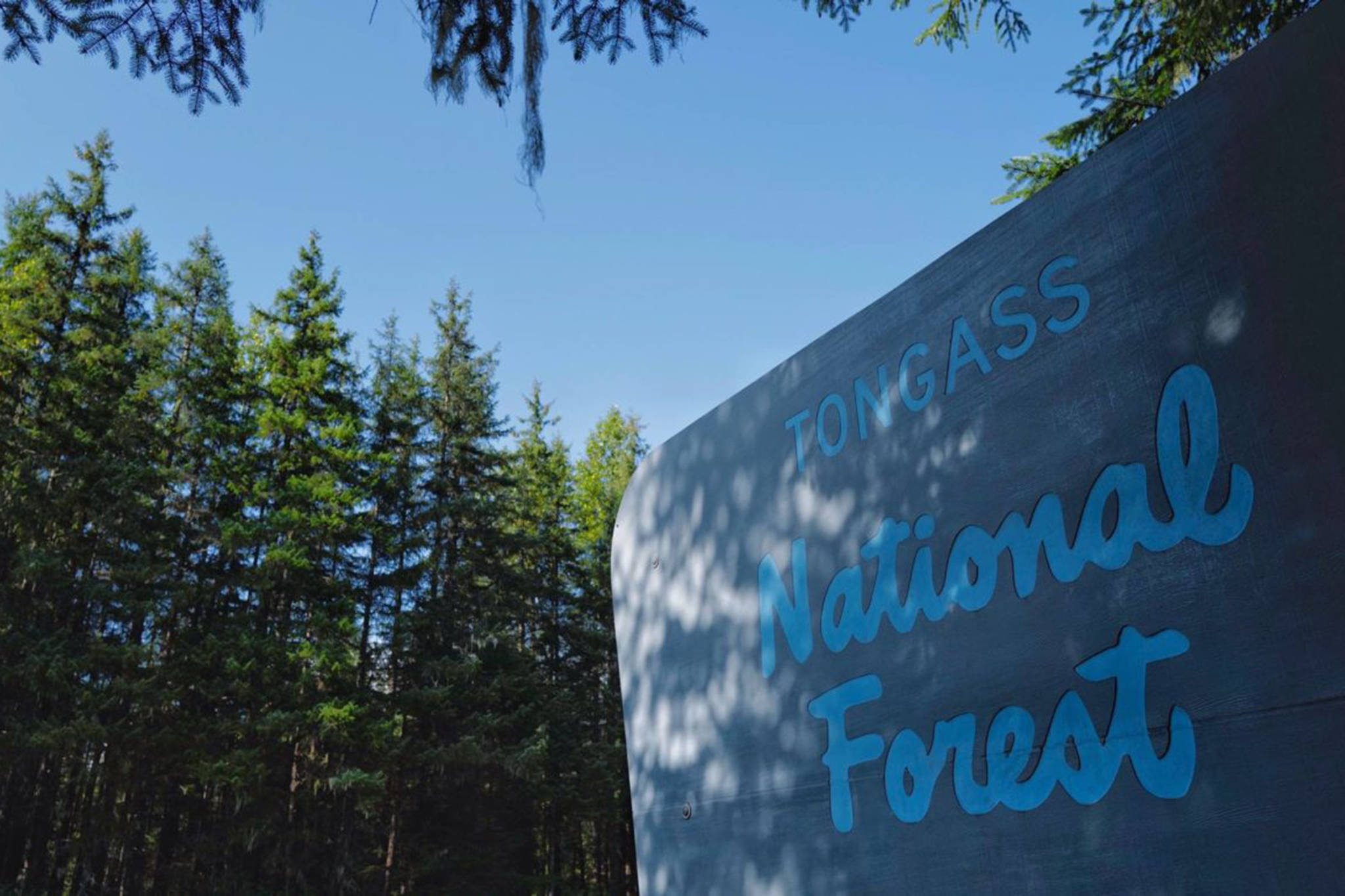 The Tongass National Forest sign seen en route to the Mendenhall Glacier Visitor Center on Wednesday, Aug. 28, 2019. (Michael Penn / Juneau Empire File)