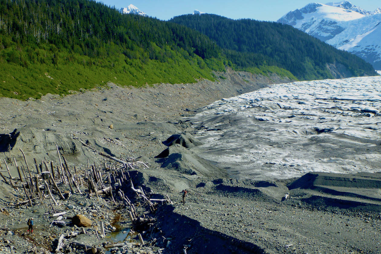 Courtesy Photo / Ben Gaglioti 
A “ghost forest” exposed as La Perouse Glacier in Southeast Alaska retreated. In the past, the glacier ran over the rainforest trees. Two people are also in the photo.