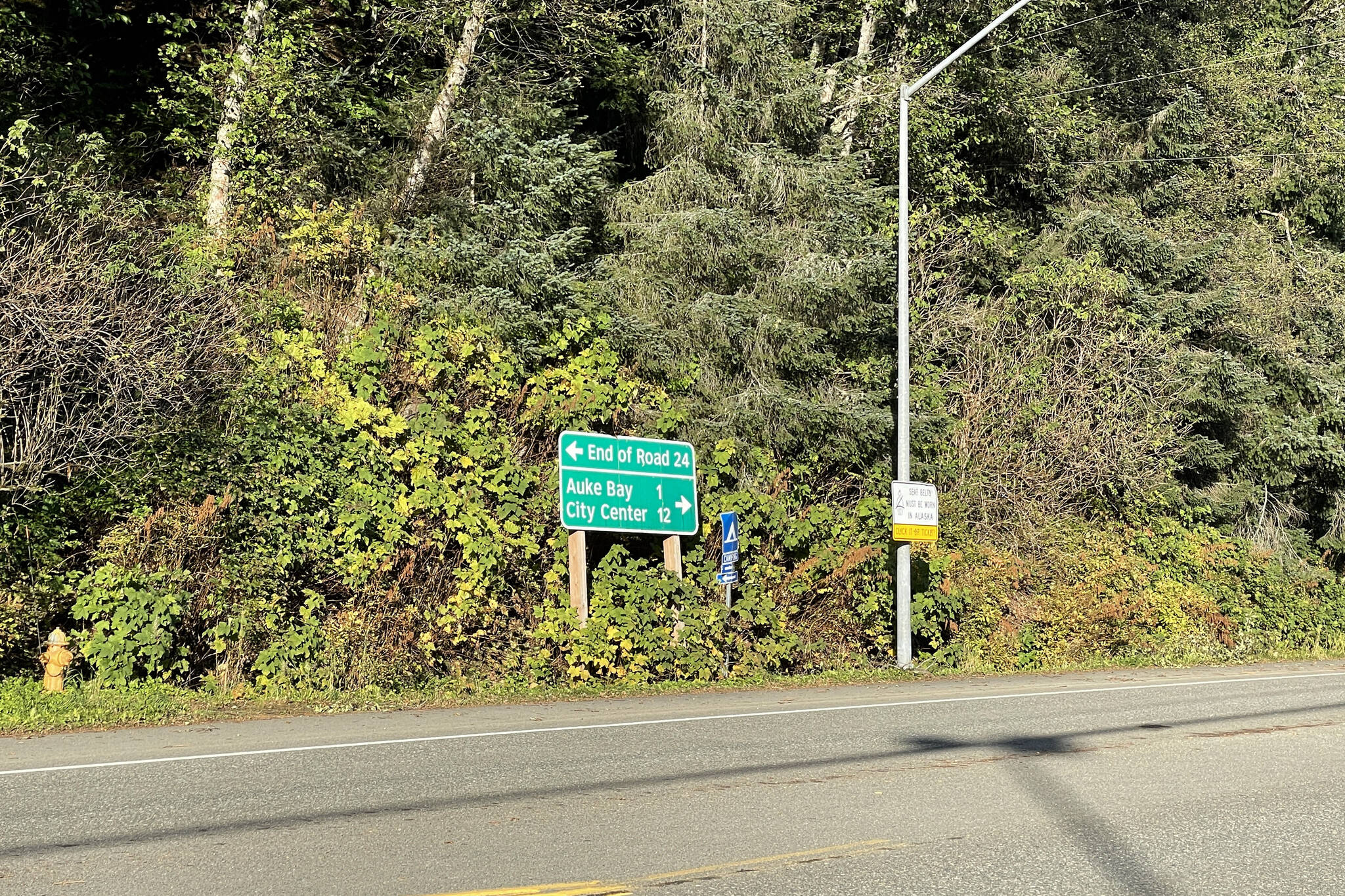 The Juneau Police Department is investigating a body found in the woods across from the Auke Bay Ferry Terminal on Tuesday, Oct. 5, 2021. (Michael S. Lockett / Juneau Empire)