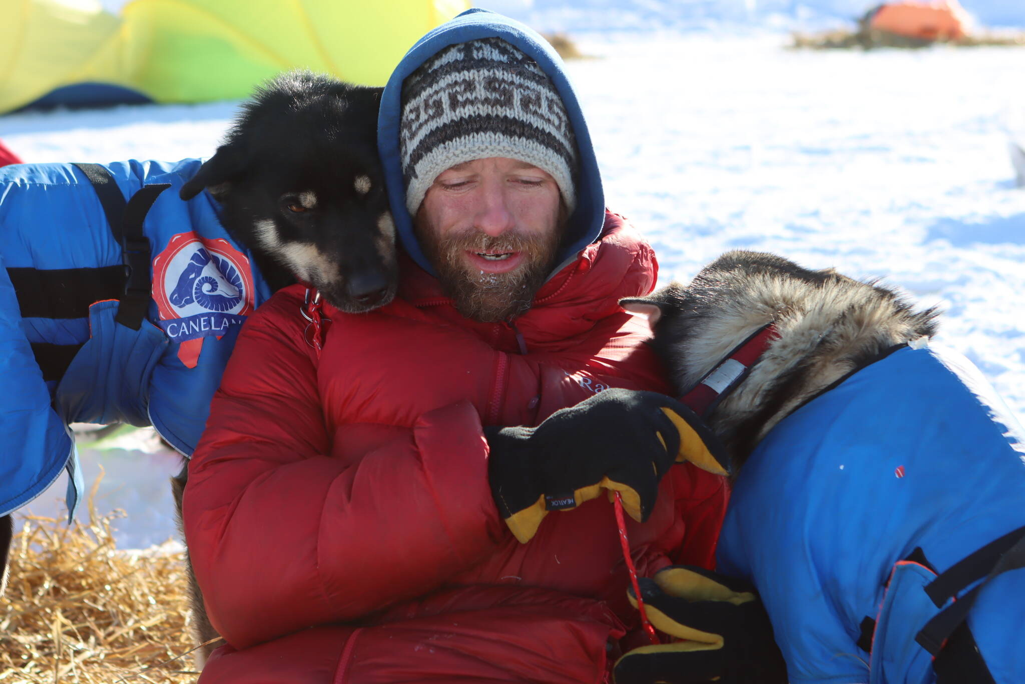 Jessie Holmes takes a break from cooking his dogs a meal to nuzzle with two wheel dogs at the Ophir checkpoint during the Iditarod Trail Sled Dog Race on Wednesday, March 10, 2021. A pack of sled dogs belonging to Holmes, Iditarod veteran and reality TV star killed a family pet in Alaska, officials said. Authorities in Wasilla are investigating a March 30, 2022 incident involving dogs owned by musher Holmes, who finished third in year's Iditarod Trail Sled Dog Race and stars in "Life Below Zero: Alaska" on the National Geographic channel. (Zachariah Hughes/Anchorage Daily News via AP, Pool, File)