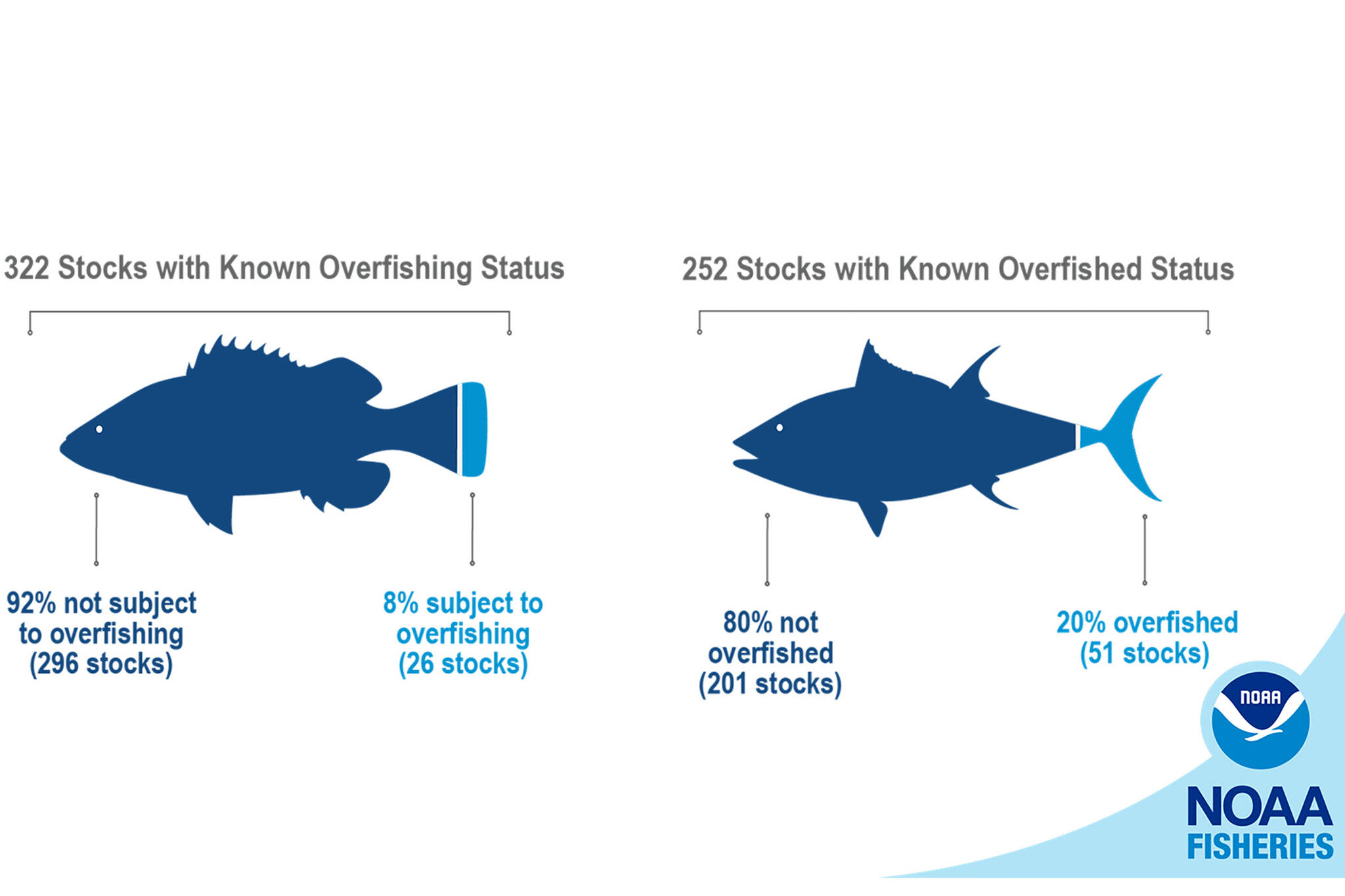 Of the more than 460 stoOf the more than 460 stocks managed by NOAA, 322 have a known overfishing status (296 not subject to overfishing and 26 subject to overfishing) and 252 have a known overfished status (201 not overfished and 51 overfished). (Courtesy Image / NOAA)