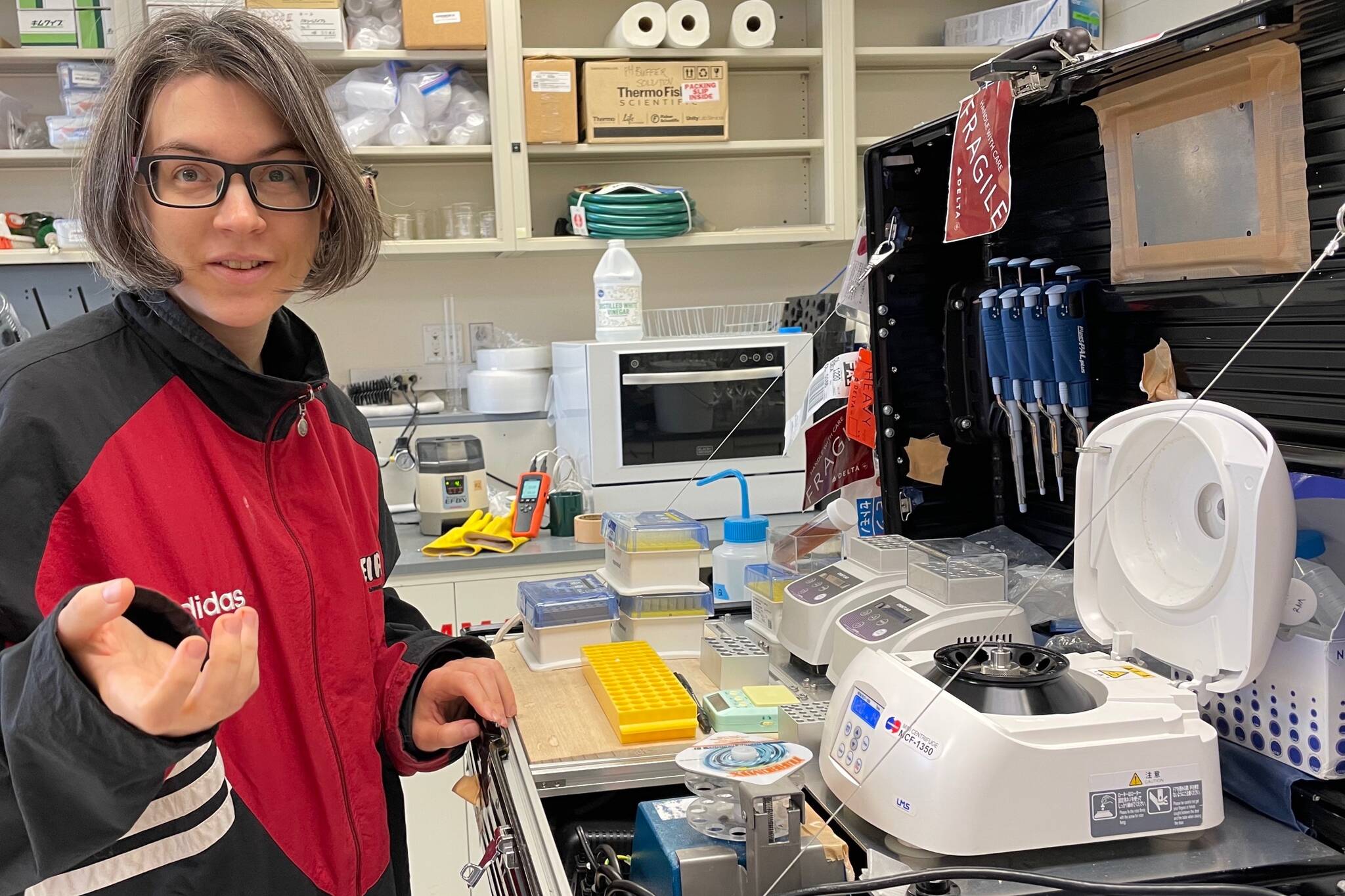 Josephine Galipon of Keio University in Japan holds a cylinder of frozen soil extracted by her colleague Go Iwahana from the U.S. Army’s Permafrost Tunnel Research Facility in Fox, Alaska. She is looking for microorganisms that might still be alive in the ancient soil. (Courtesy Photo / Ned Rozell)