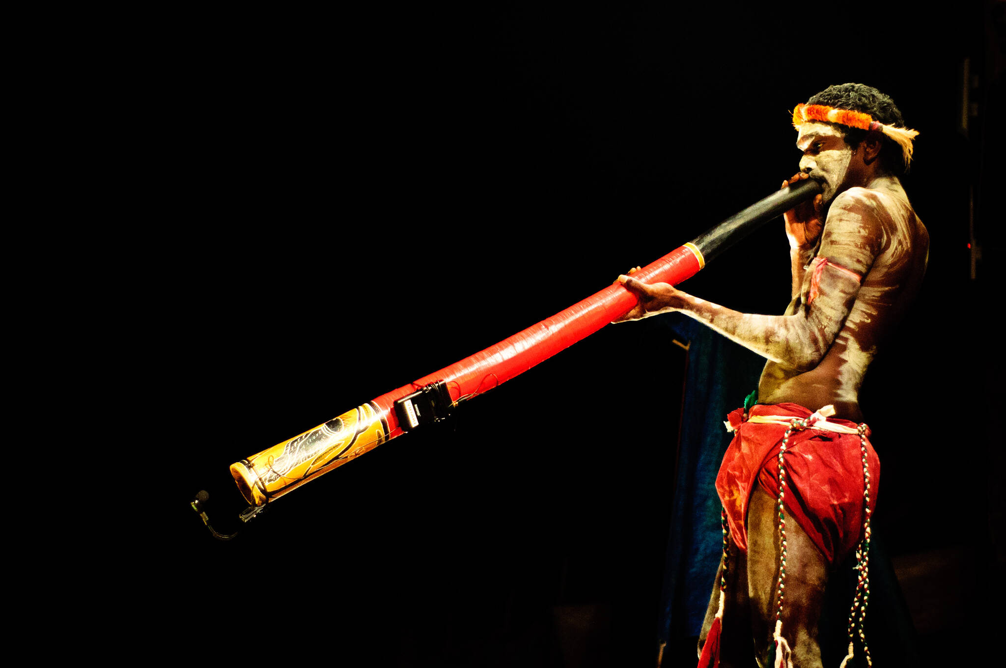 This November 2011 photo available under a Creative Commons license shows a man playing a didgeridoo, perhaps the best-known instrument requiring circular breathing. This instrument is a hollow tube, cylindrical or tapered, traditionally made from selected trees hollowed out by termites. Sounds are made when a player places the tube against the face and blows, vibrating the lips. (Imagicity)