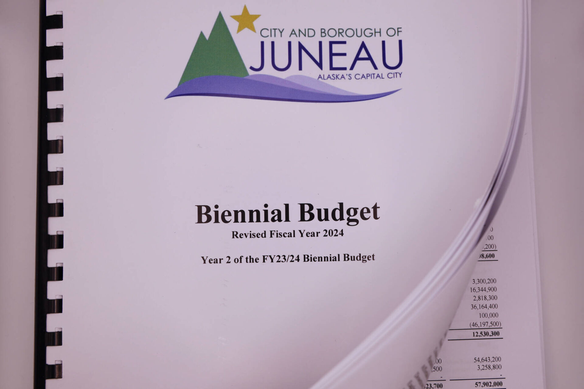 Opinion Will The CBJ Assembly Ever Draw The Line Juneau Empire   32286924 Web1 Copy Budgetbright1 1920x1280 