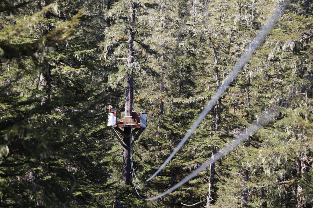 Zip Line Tours To Restart At Eaglecrest In Late June Juneau Empire   32765541 Web1 ZIpline 1024x683 