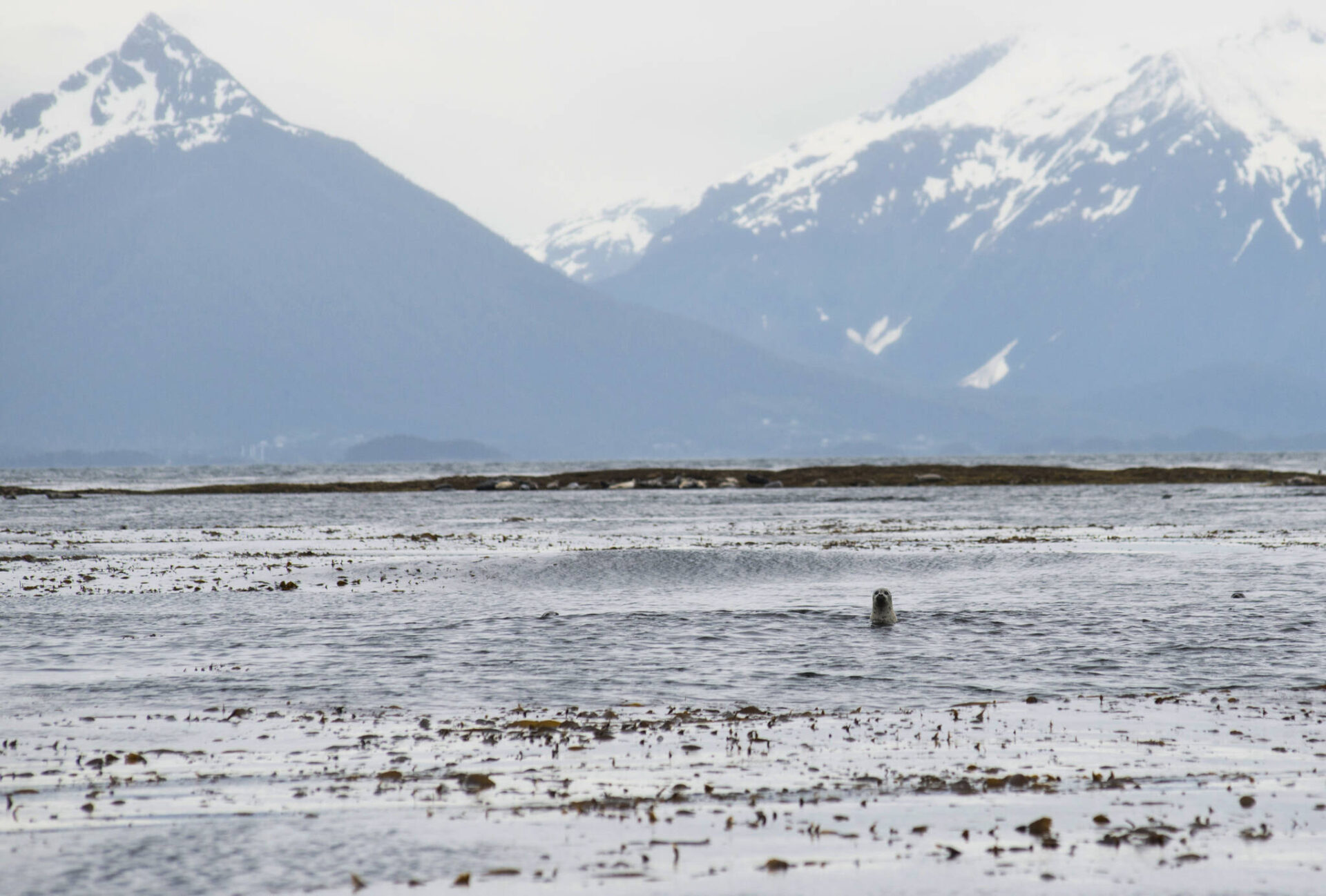 Body of captain recovered 11 days after five die in Sitka boat sinking