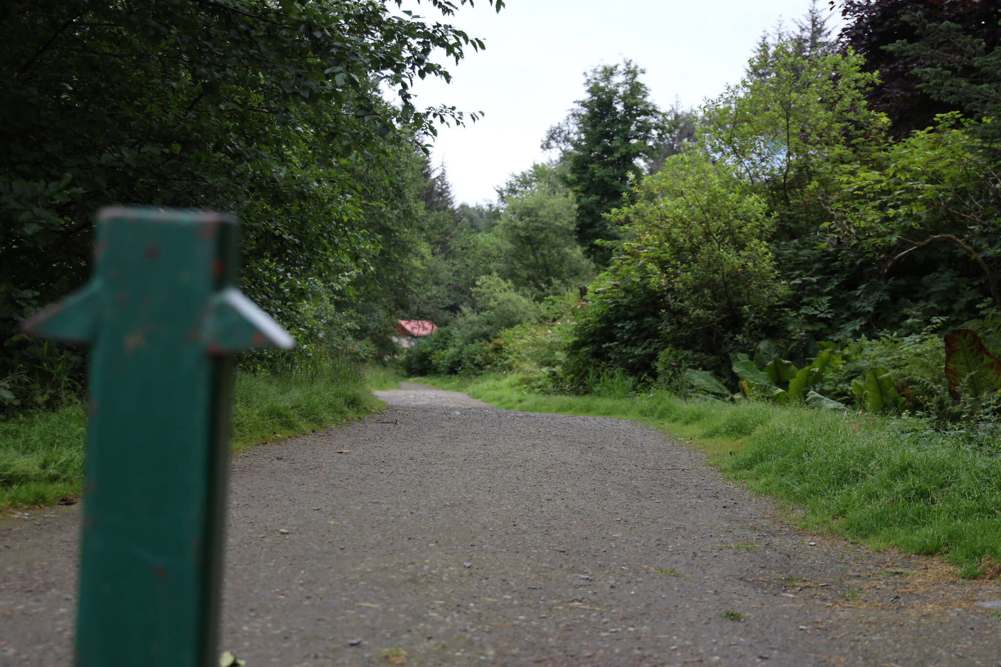 This is a photo of the Treadwell Ditch Trail on South Douglas. On Saturday a teenage boy died after he failed to make it to shore after jumping into the water by the Glory Hole. His body was later recovered Sunday afternoon. (Clarise Larson / Juneau Empire)