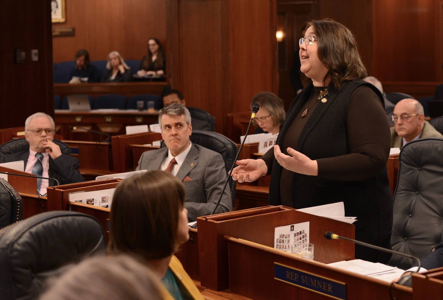 Rep. Donna Mears, D-Anchorage, speaks on an amendment to the state budget on April 3, 2023, at the Alaska State Capitol. (Photo by James Brooks/Alaska Beacon)