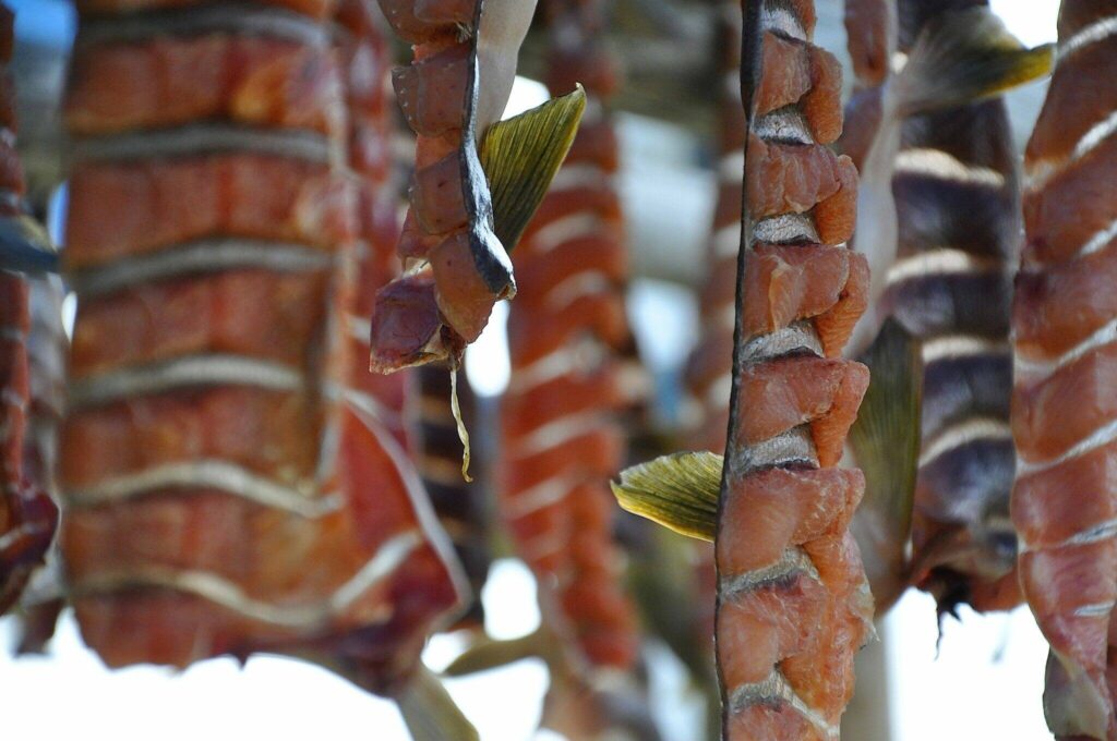 Yukon River salmon runs remain low, but chum improvements allow for ...