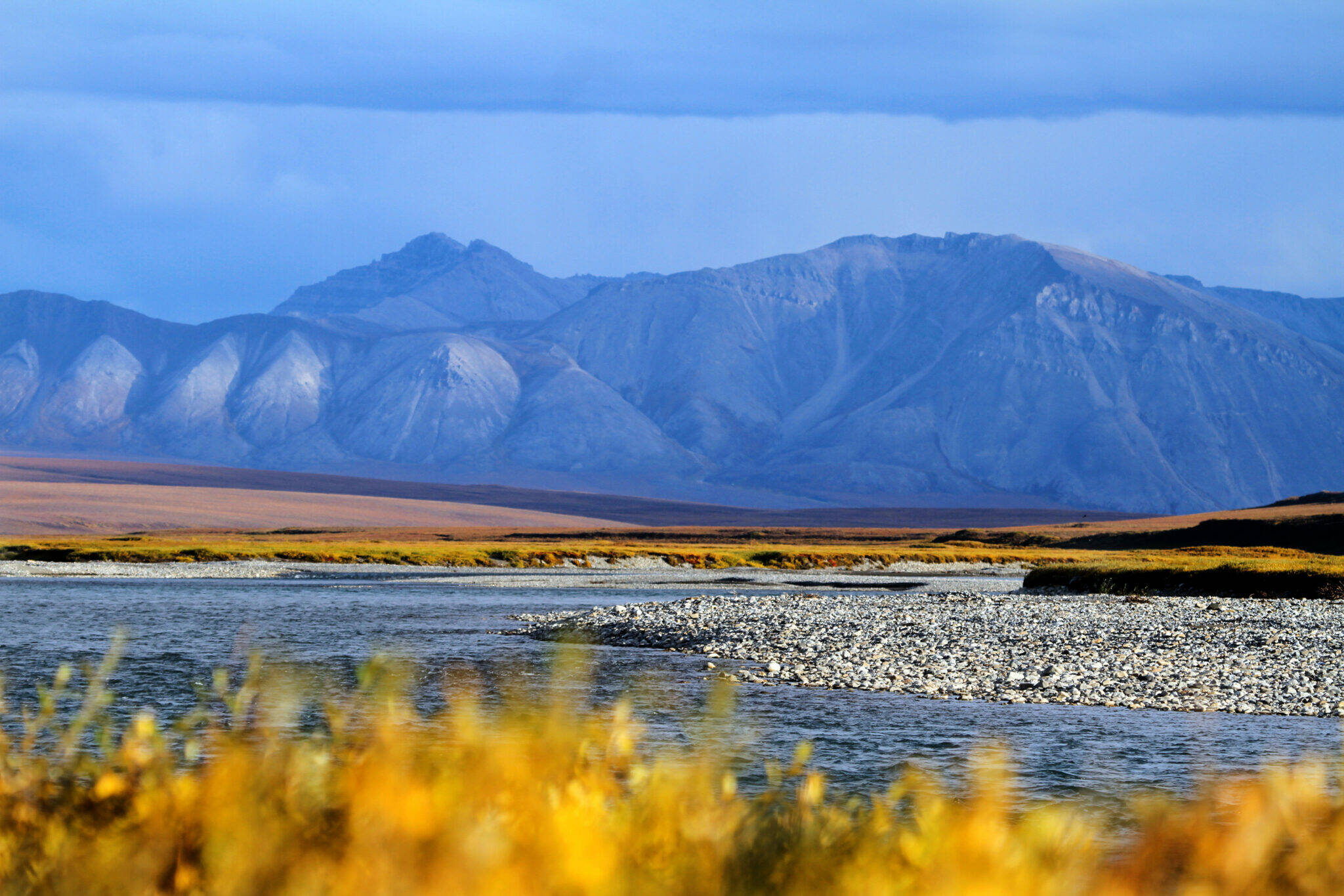 Fall colors are seen on Aug. 24, 2015, along the Canning River on the western edge of the Arctic National Wildlife Refuge. The Alaska Industrial Development and Export Authority, the last entity to hold leases in the refuge coastal plan, has gone to federal court to try to get the canceled leases reinstated. (Photo by Katrina Liebich/U.S. Fish and Wildlife Service)