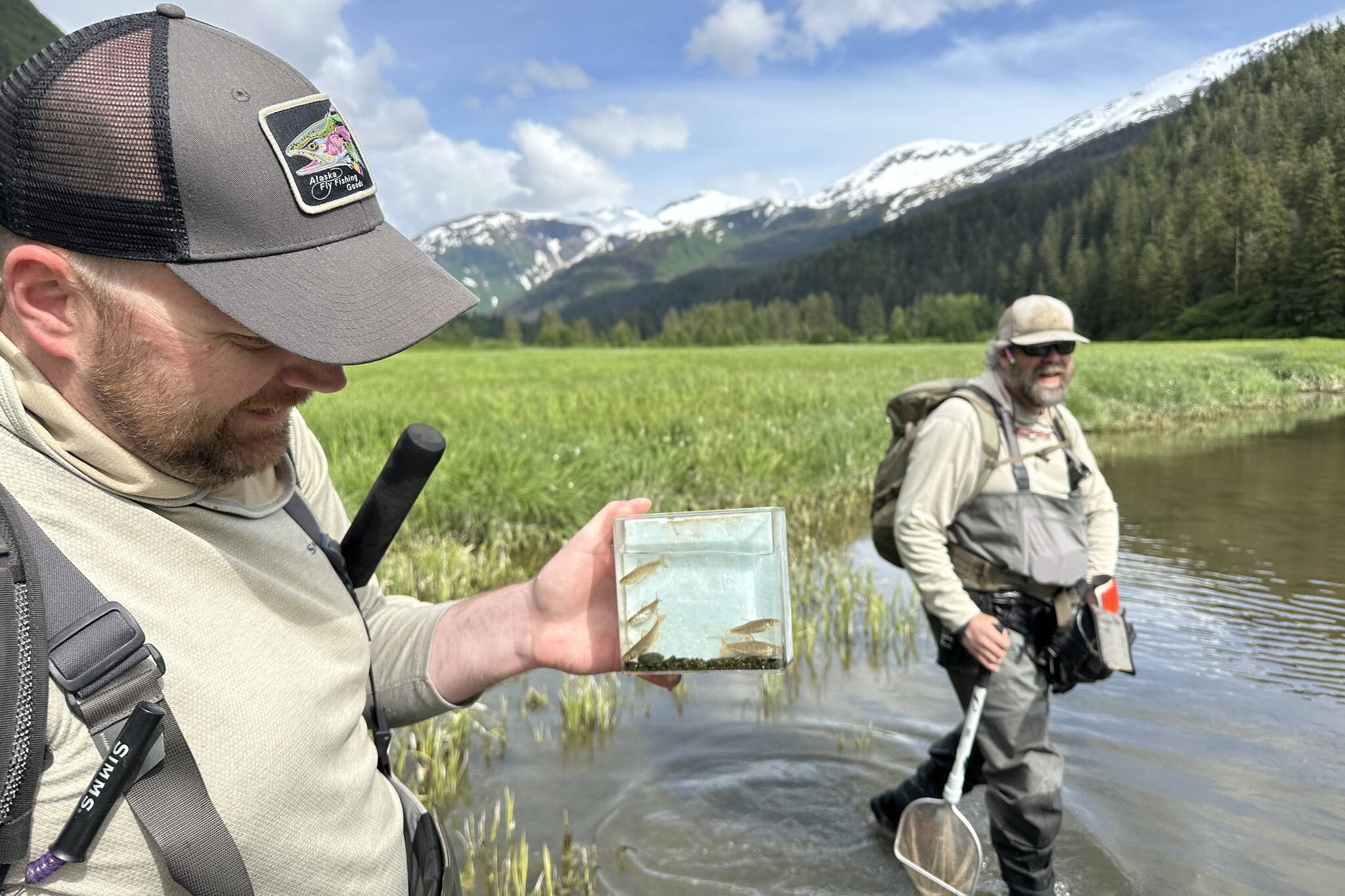 Trout Unlimited's Matt Boline holds a container with coho fry for official documentation of anadromous fish use in an unnamed creek in the vicinity of Juneau. (Photo by Jeff Lund)