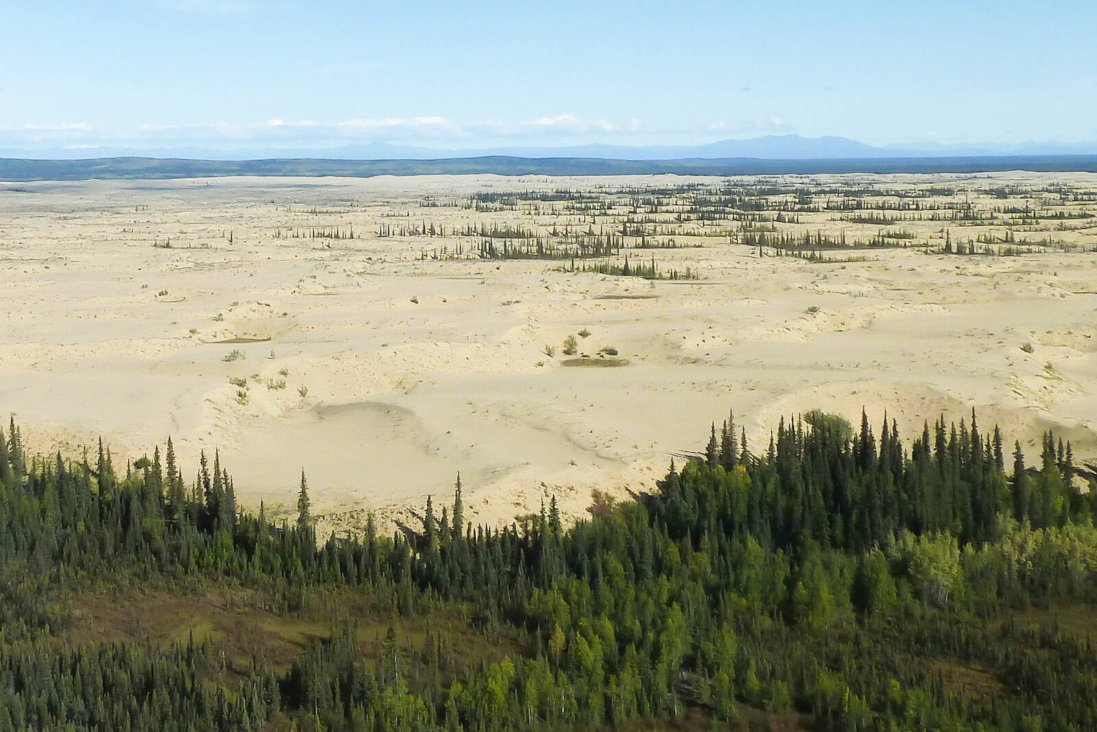 The Nogahabara Sand Dunes in the Koyukuk Wilderness Area west of Koyukuk River. (Keith Ramos / U.S. Fish and Wildlife Service)