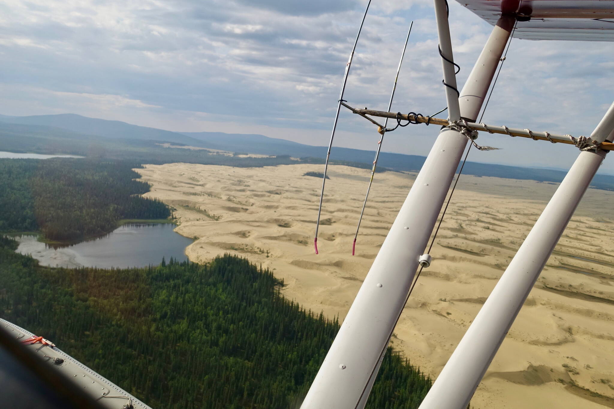 The Nogahabara Dunes spill into a lake 35 miles west of the village of Huslia as seen from the back seat of a Super Cub piloted by Brad Scotton of the U.S. Fish and Wildlife Service based in Galena. (Photo by Ned Rozell)