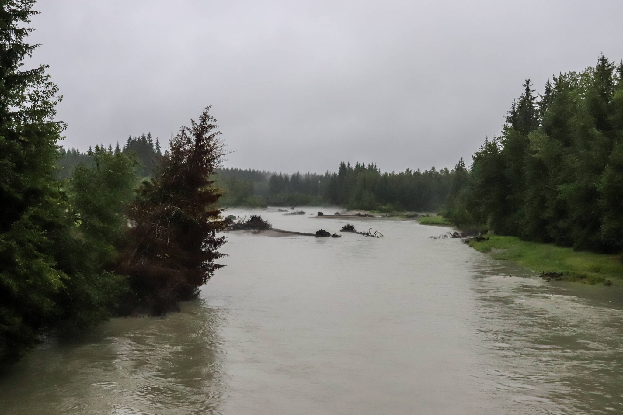 Trees float down Mendenhall River on July 17, 2024. (Jasz Garrett / Juneau Empire)