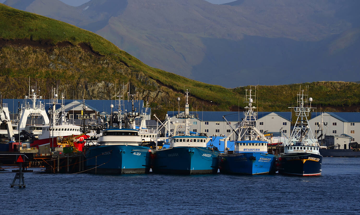 Trawlers are seen in Unalaska on Sept. 24, 2013. Trawlers use nets to harvest pollock and other groundfish species in the Bering Sea; the ships’ incidental catch of river-bound salmon puts the pollock industry in conflict with commercial and subsistence fishermen in Western Alaska. (James Brooks/Alaska Beacon)