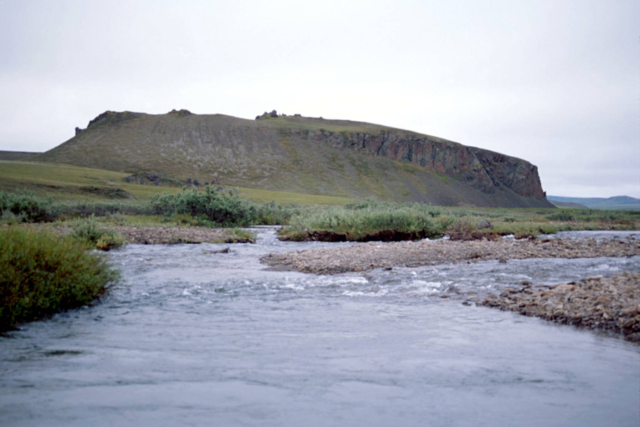 A creek runs beside the Mesa Site in northern Alaska. (Photo by Dan Gullickson)