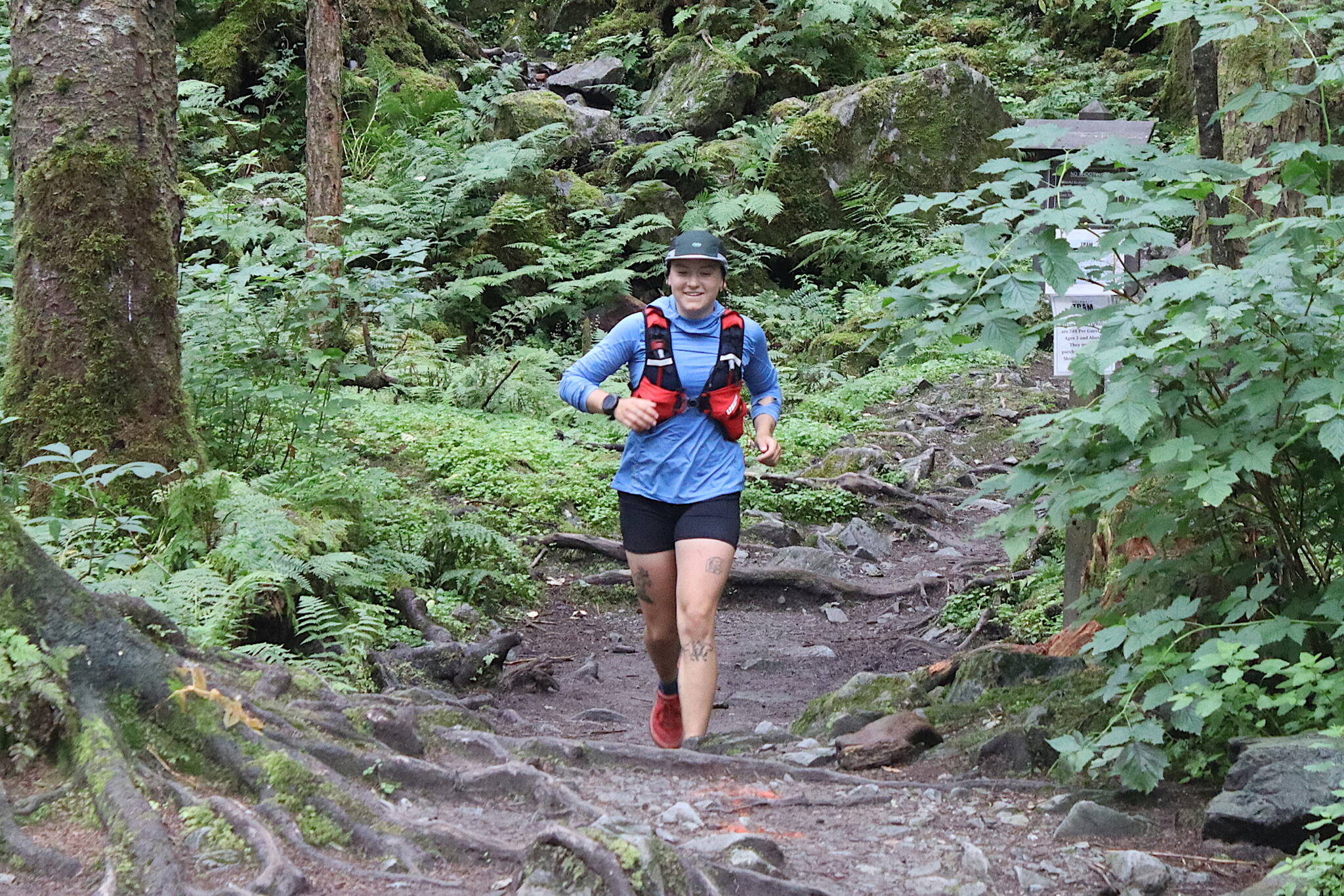 A runner nears the end of the Mount Roberts Trail during the Nifty Fifty Race on Saturday. (Mark Sabbatini / Juneau Empire)