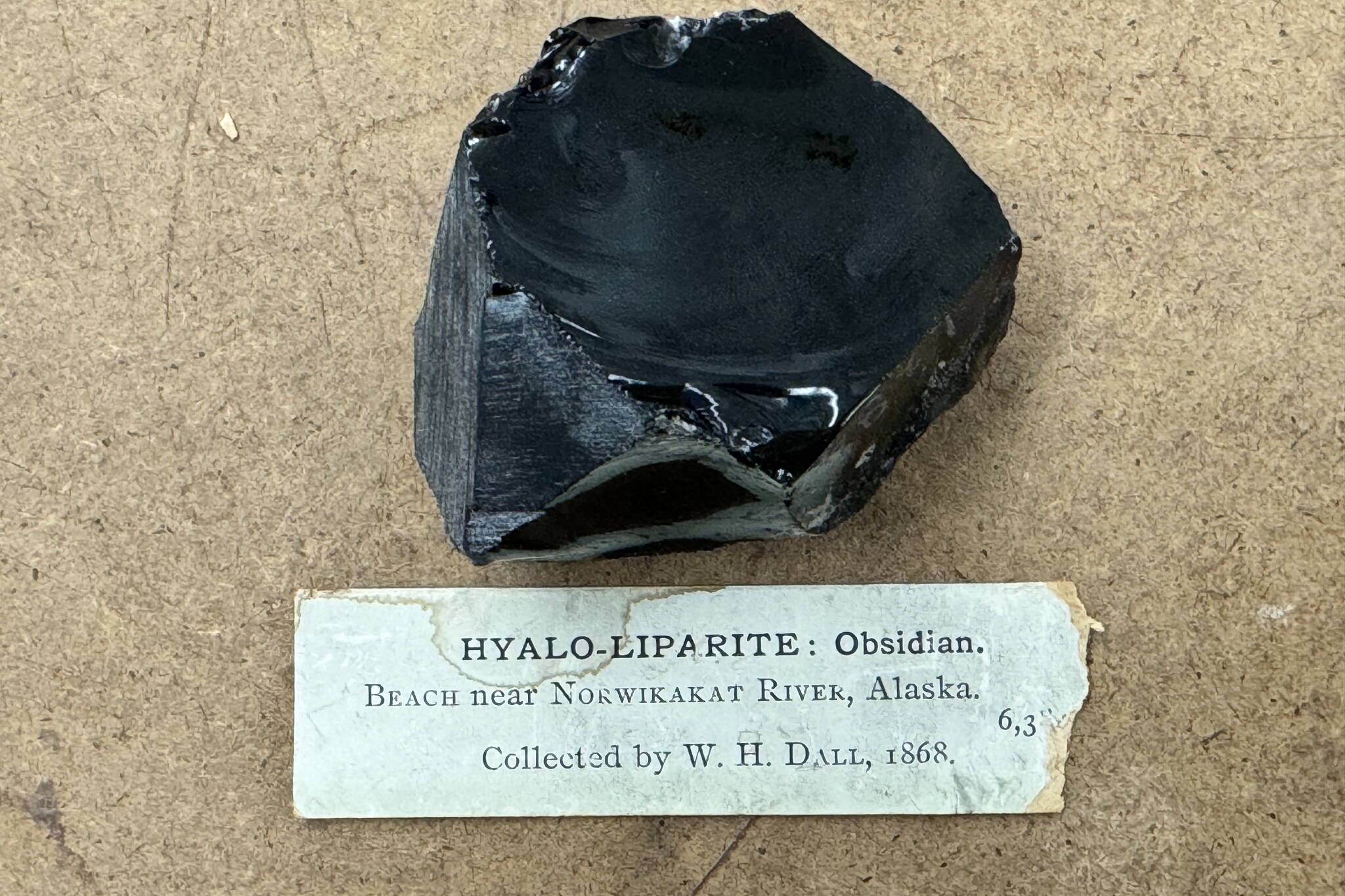 A piece of obsidian rock sits on display in the Smithsonian Institution in Washington, D.C. William Healey Dall collected the rock in 1868 near the Nowitna River in Interior Alaska. (Photo by Jeff Rasic)