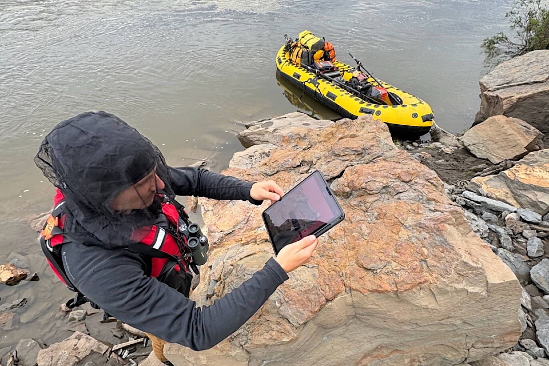 Florida State University graduate student Tyler Hunt scans a rock that contains several dinosaur footprints during a recent trip on the upper Colville River. (Patrick Druckenmiller, UA Museum of the North)