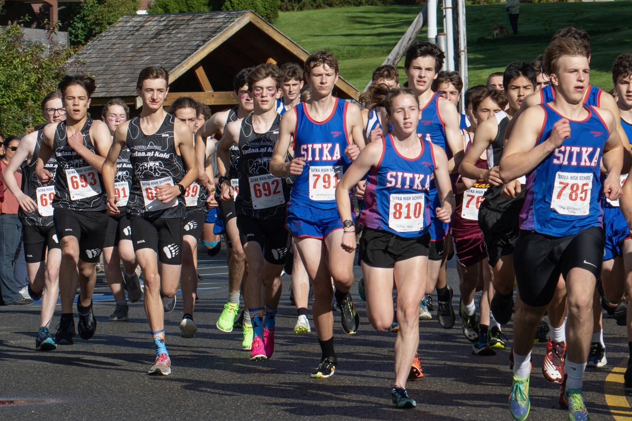 Juneau-Douglas High School: Yadaa.at Kalé and Sitka High School runners lead the start of the boys race at the Sitka Invitational on Saturday. Sitka’s Claire Mullin (810) ran in the boys race as she continues to prepare for college running after this season. (James Poulson / Sitka Sentinel)