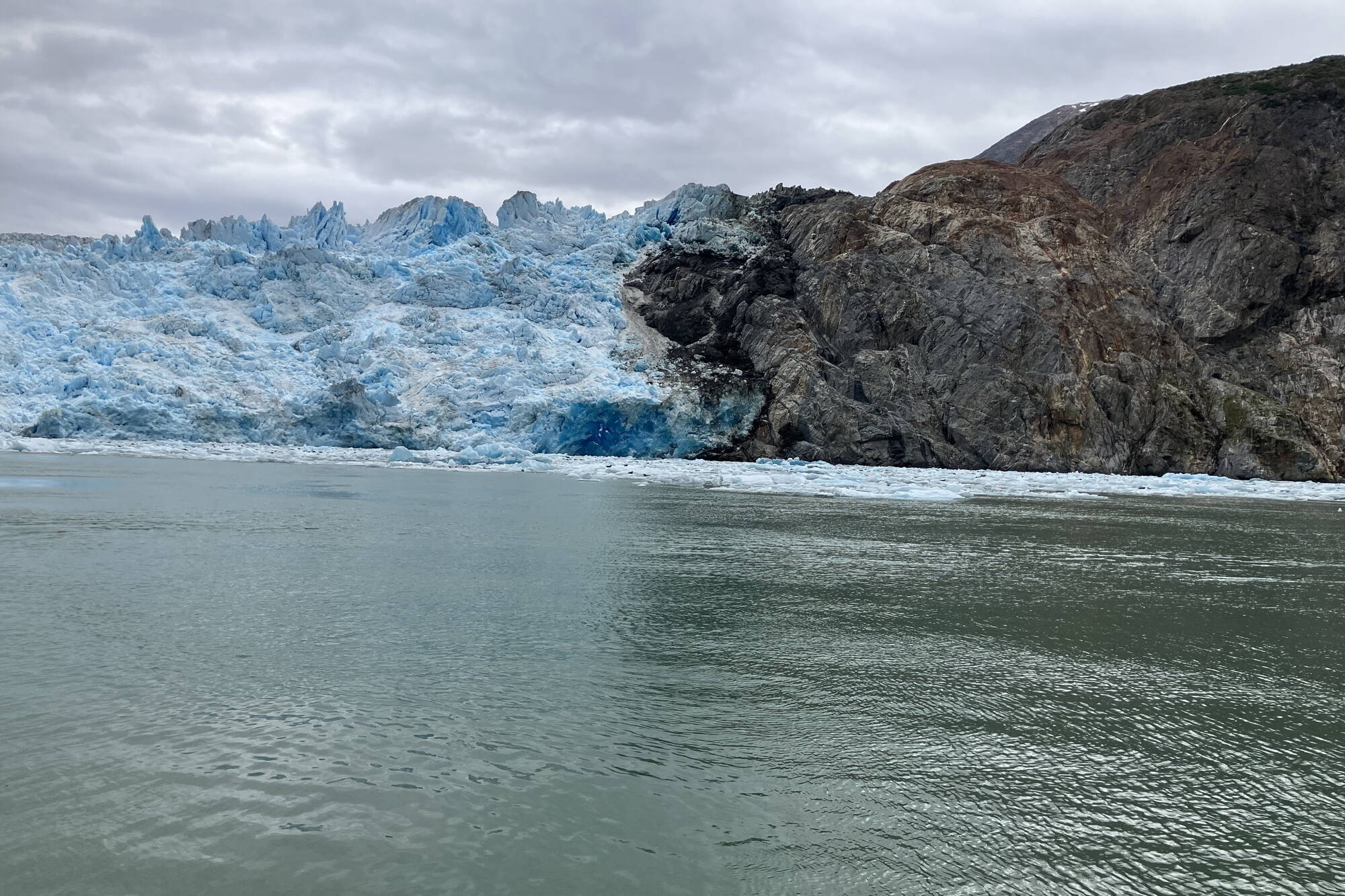 The South Sawyer glacier had shed many small bergs, which were occupied by hard-to-see resting seals. (Photo by Mary F. Willson)