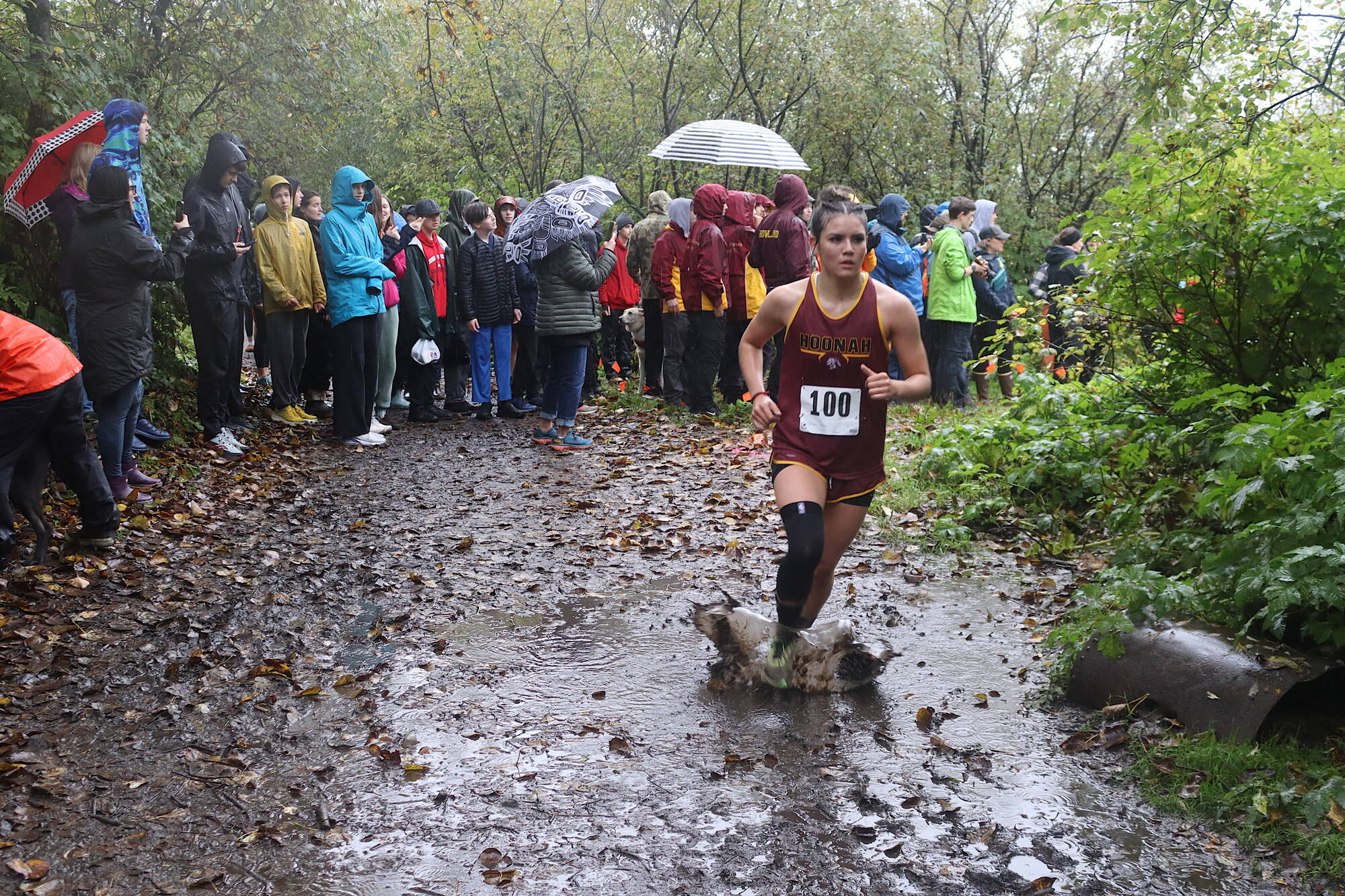 A Hoonah High School runner splashes through a puddle on the Treadwell Mine Historic Trail during the Capital City Invite 5K on Saturday. (Mark Sabbatini / Juneau Empire)