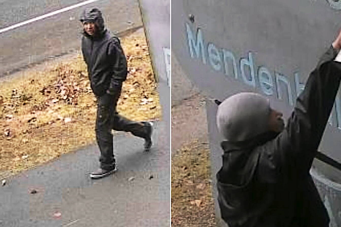 A person seen at an entrance sign to the Mendenhall Glacier Recreation Area is being sought by the Juneau Police Department following several instances of swastikas being spray painted at locations in the Mendenhall Valley in recent days. (Juneau Police Department)