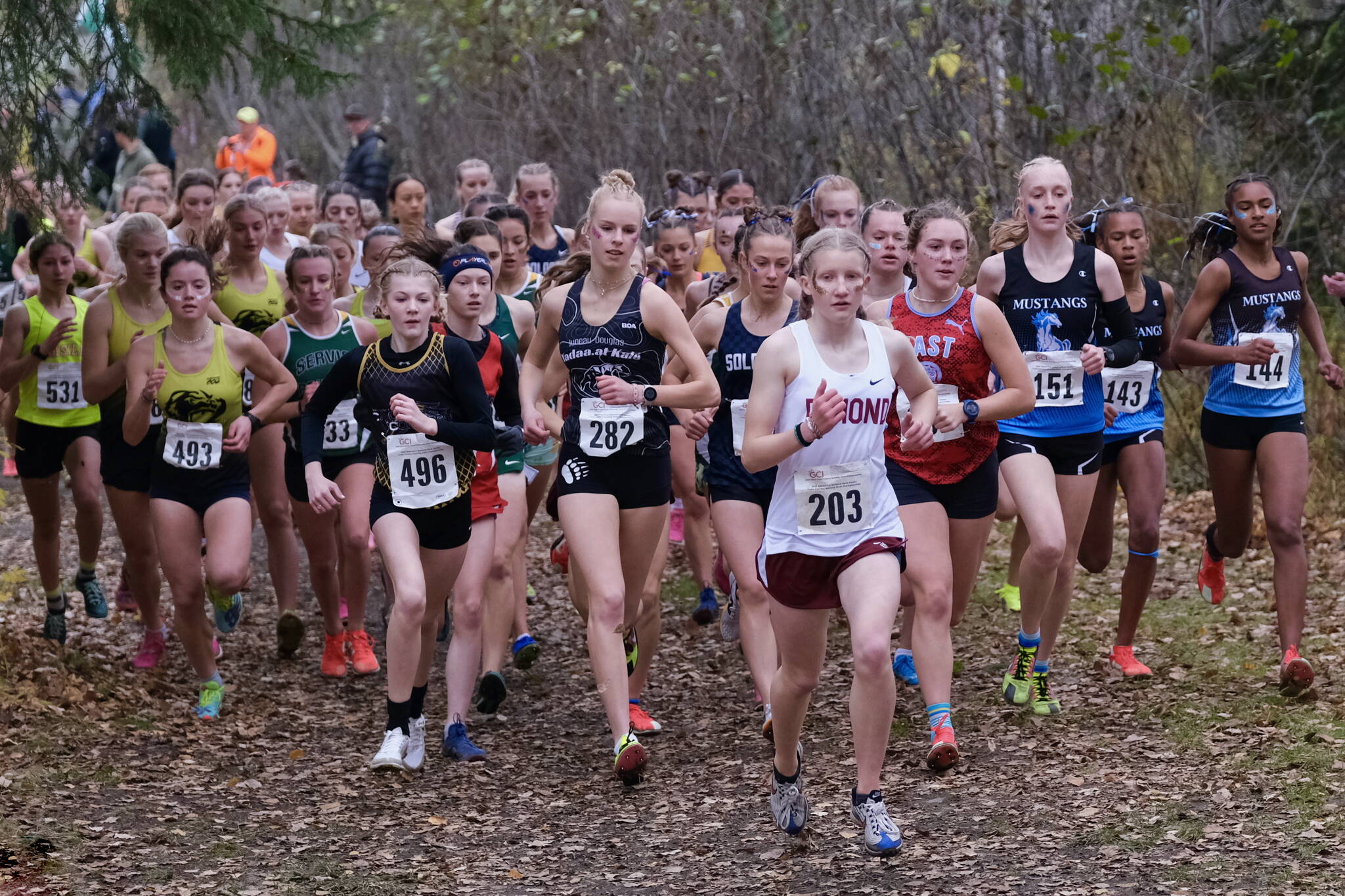 The Division I girls begin their first loop during the 2024 ASAA cross-country running state championships Saturday on the Bartlett High School Trails in Anchorage. (Klas Stolpe / Juneau Empire)