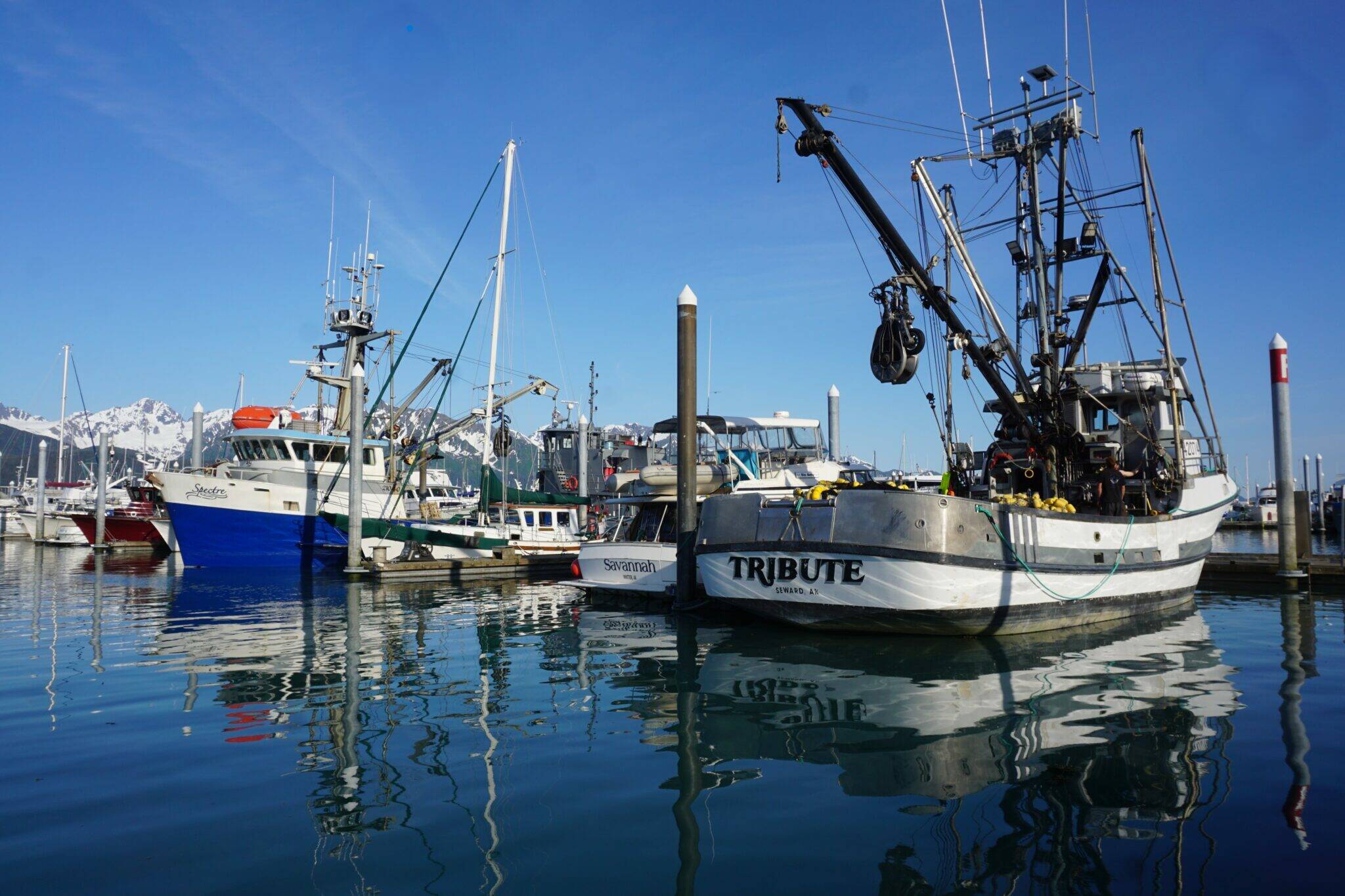 Commercial fishing boats are lined up at the dock at Seward’s harbor on June 22. Numerous economic forces combined last year to create a $1.8 billion loss for the Alaska seafood industry, and related losses affected other states, according to a new report. (Yereth Rosen/Alaska Beacon)