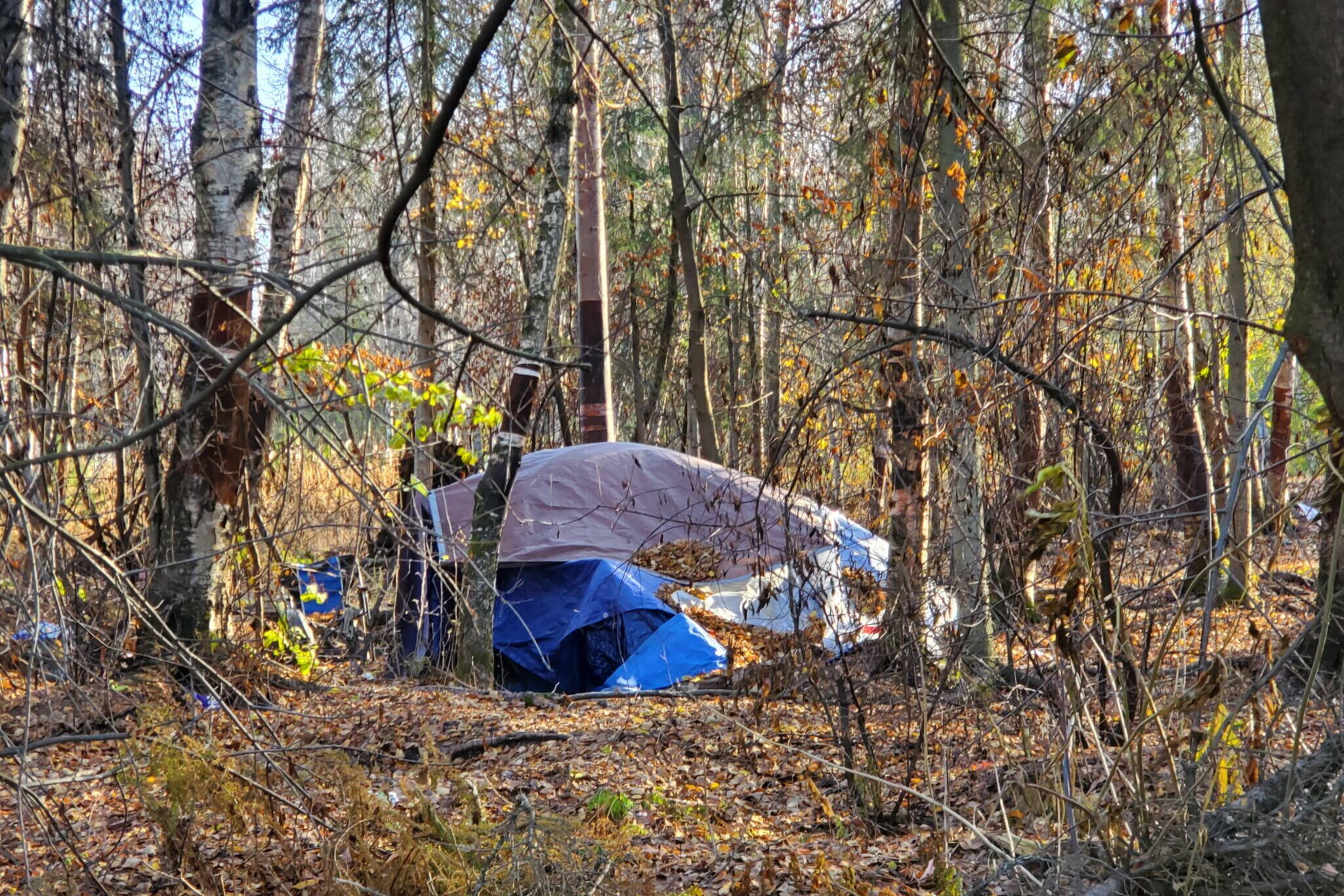 A campsite is seen on Oct. 18 in the woods along the Campbell Creek Trail in Midtown Anchorage. Unsheltered people face a much higher risk of cold-exposure injuries than do housed people, state data shows. But the rate of such injuries among the homeless is not clear because the homeless population is difficult to define and identify. (Yereth Rosen/Alaska Beacon)