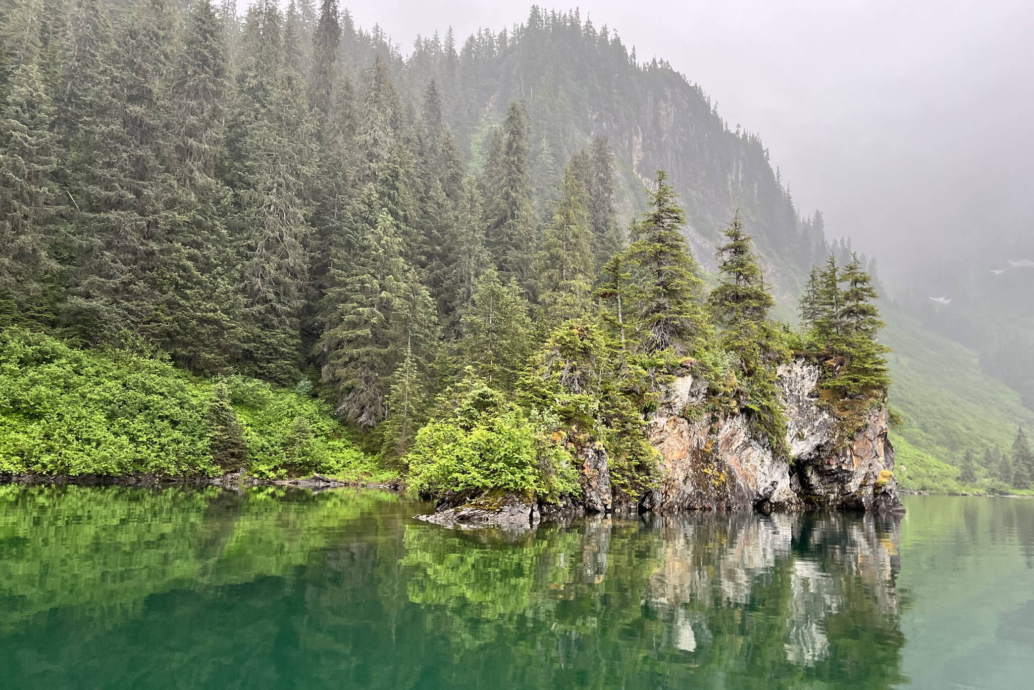 Tongass National Forest. (U.S. Forest Service photo)